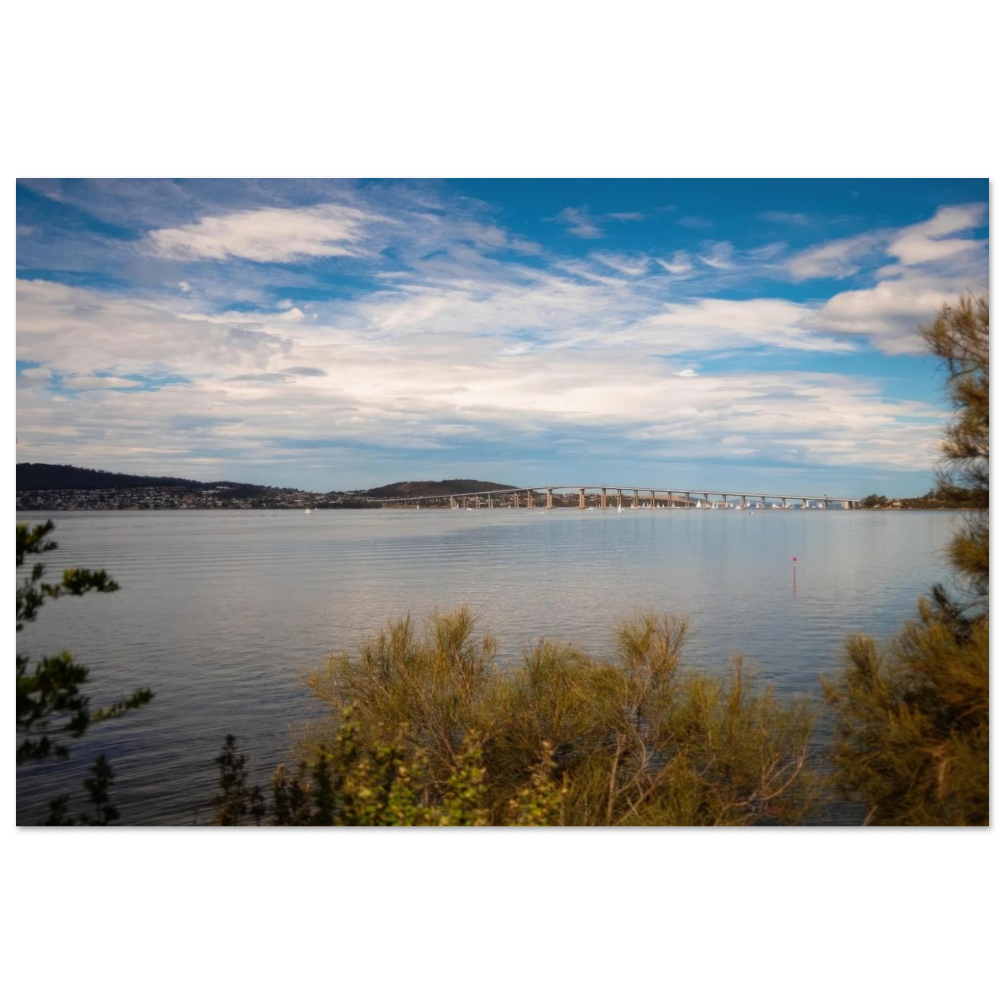 003d35f0-d869-4894-a6ef-269c0d9ffd84