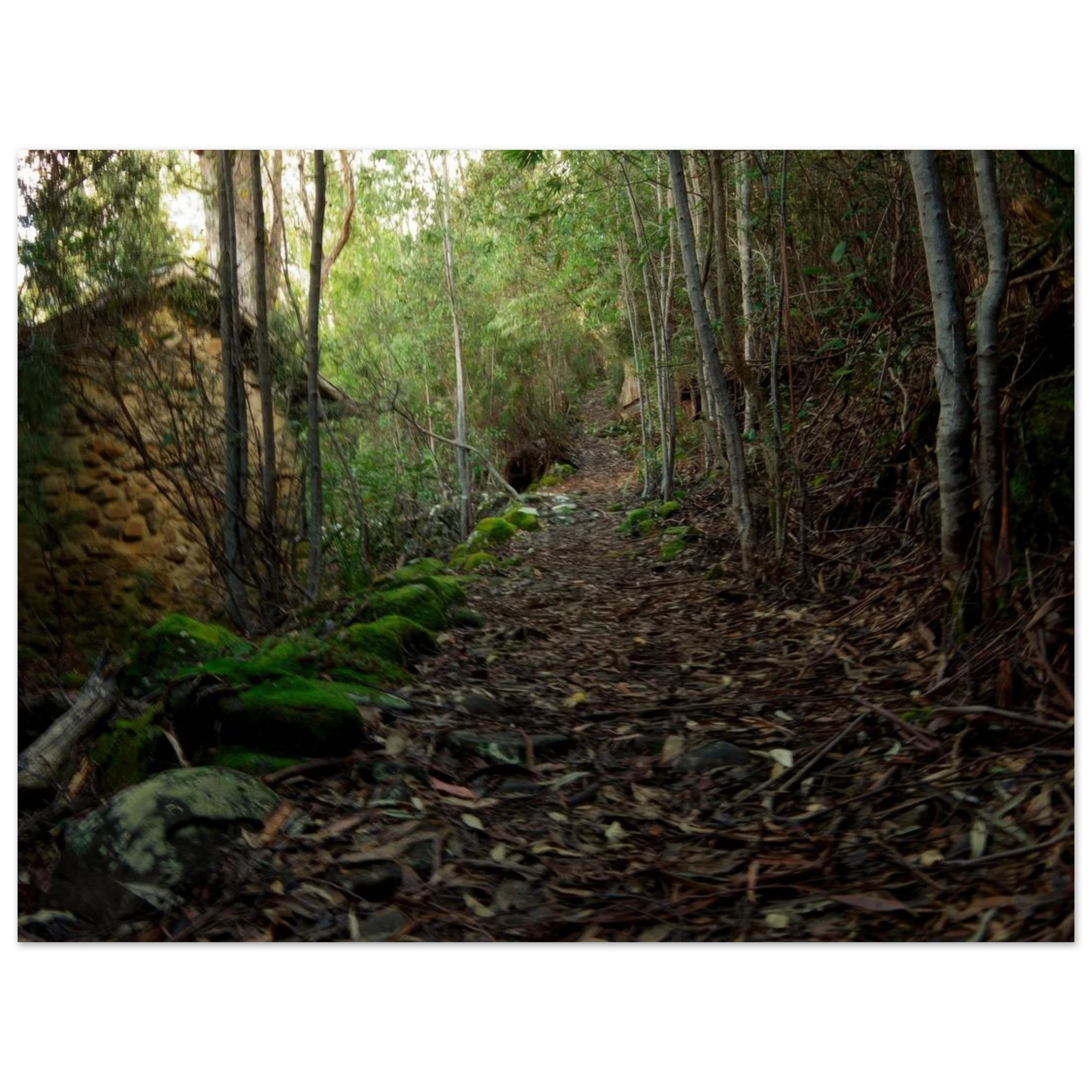 04fdde25-8902-40e3-b9d6-a3d71c02a0dc