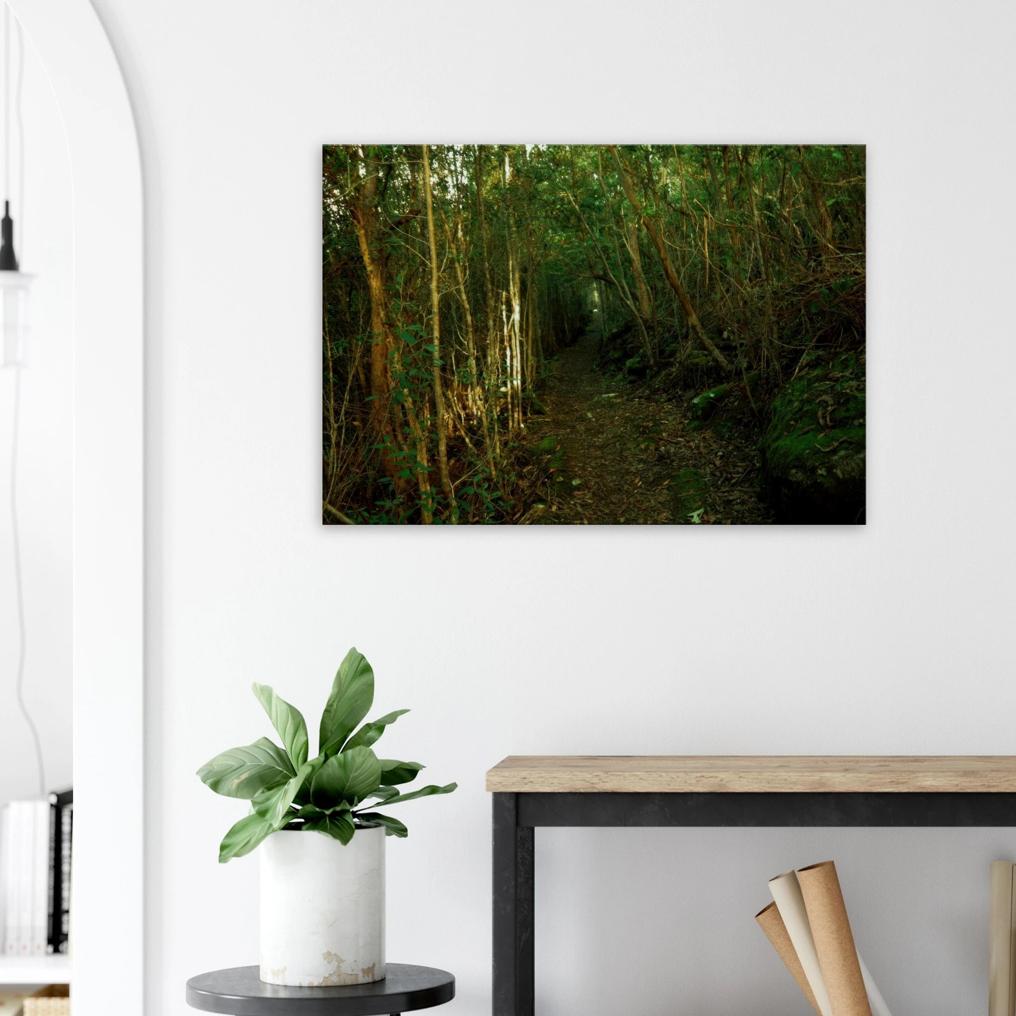 0786cc6f-a50a-491e-9398-45edb5d45923