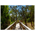 080d8273-1152-4672-98dc-98b16d18cd13