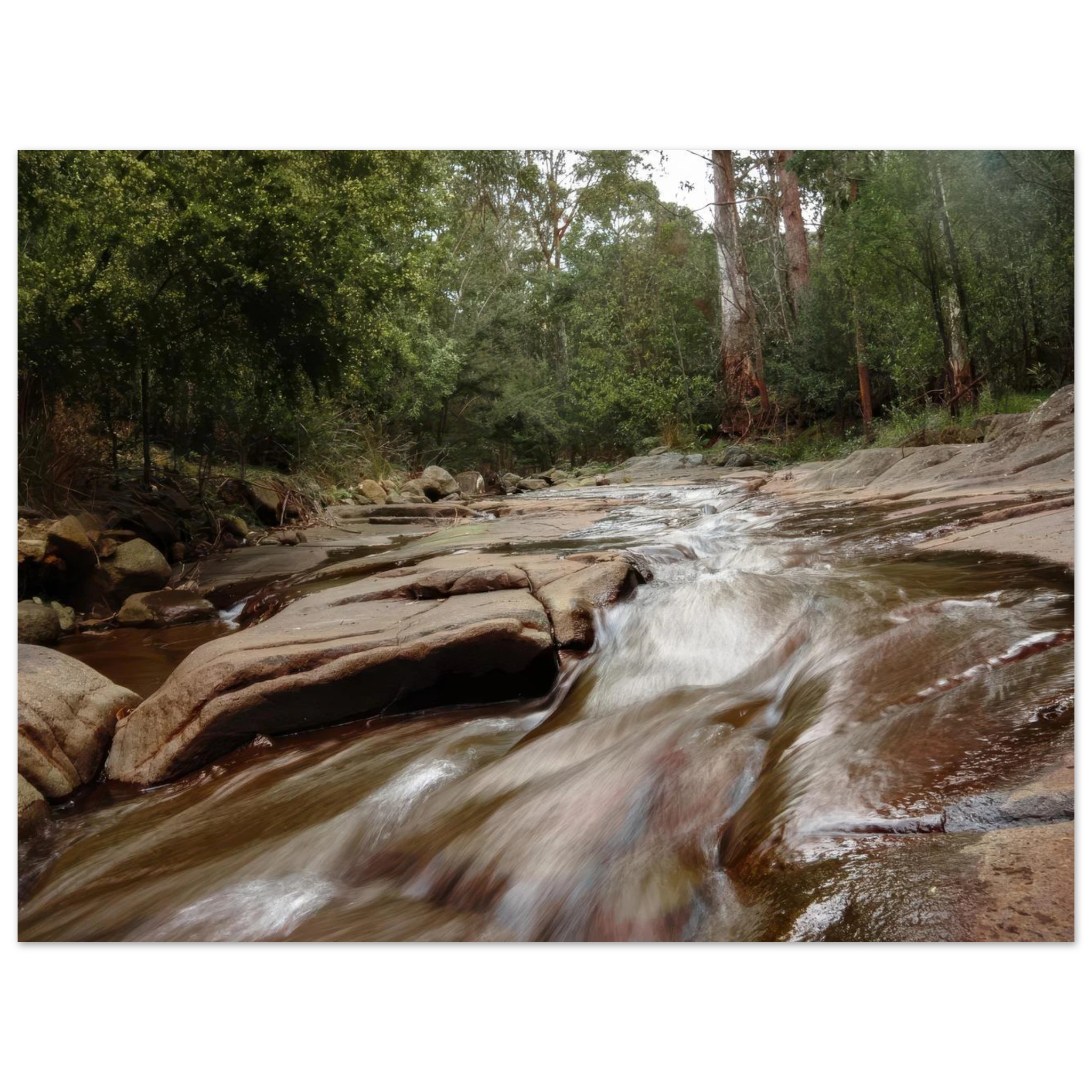 08ae3612-68cf-4a49-a544-11c064bf26b8