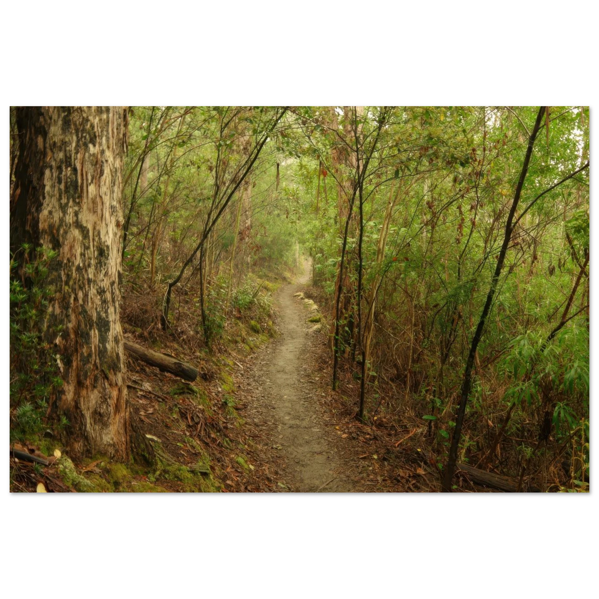 0a23eda4-fdbd-49e1-b2e4-0dfa9fef66cd