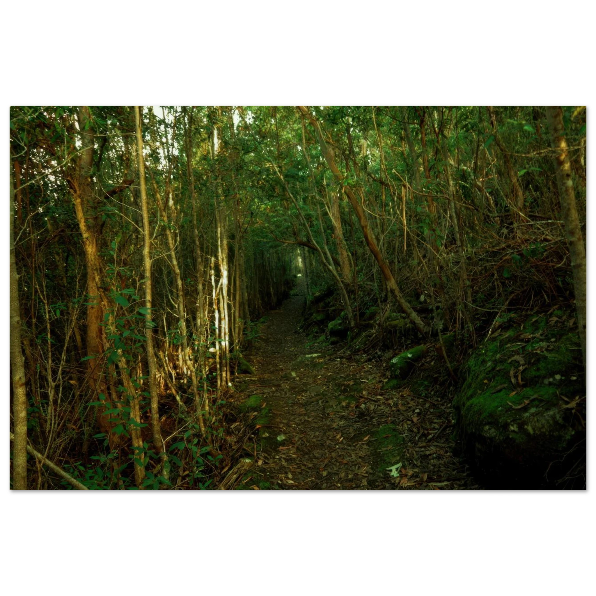 0bc71f66-b8d4-4392-9920-a515bb35e05c