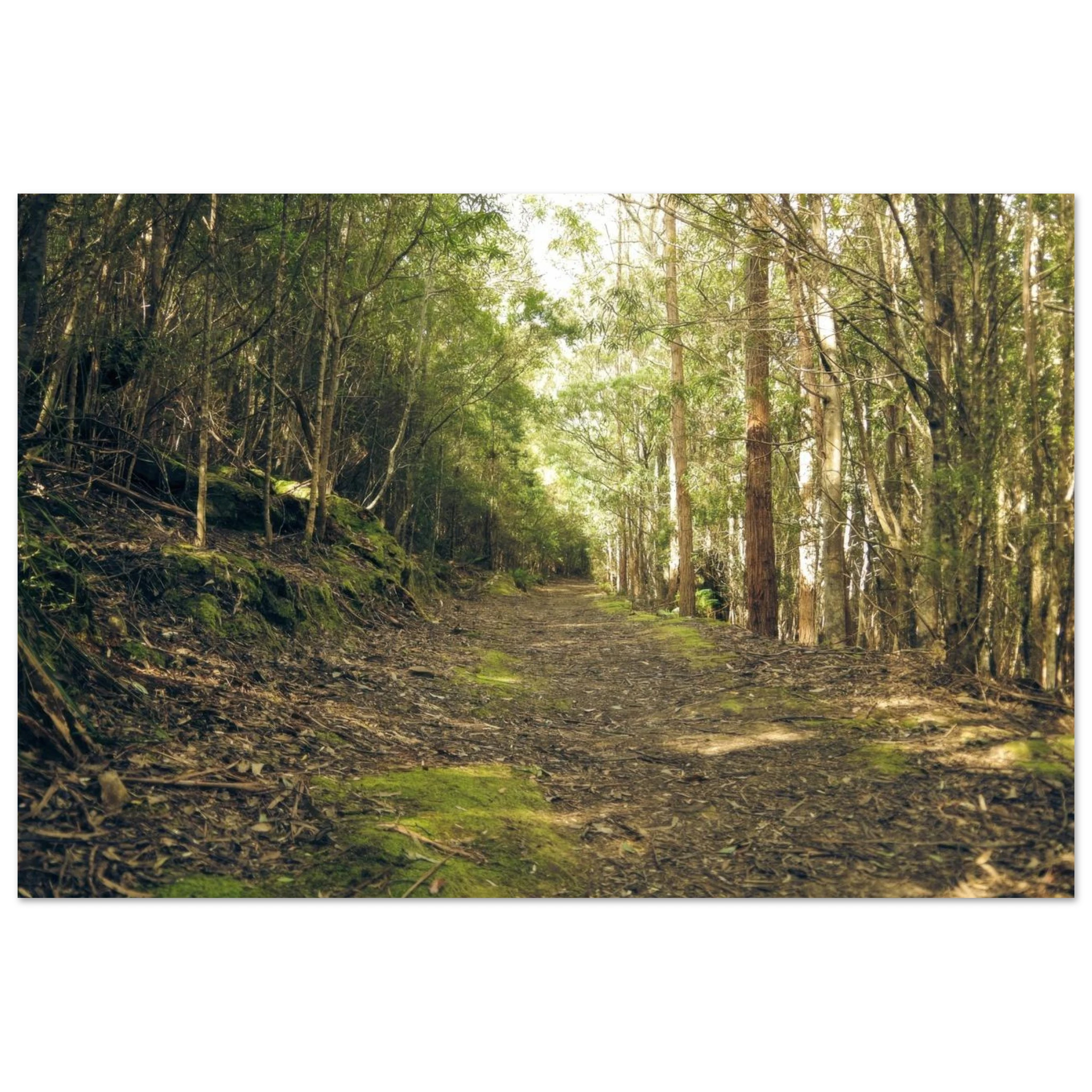 0c7a9f9a-0f5a-431b-91ae-434894c40adb