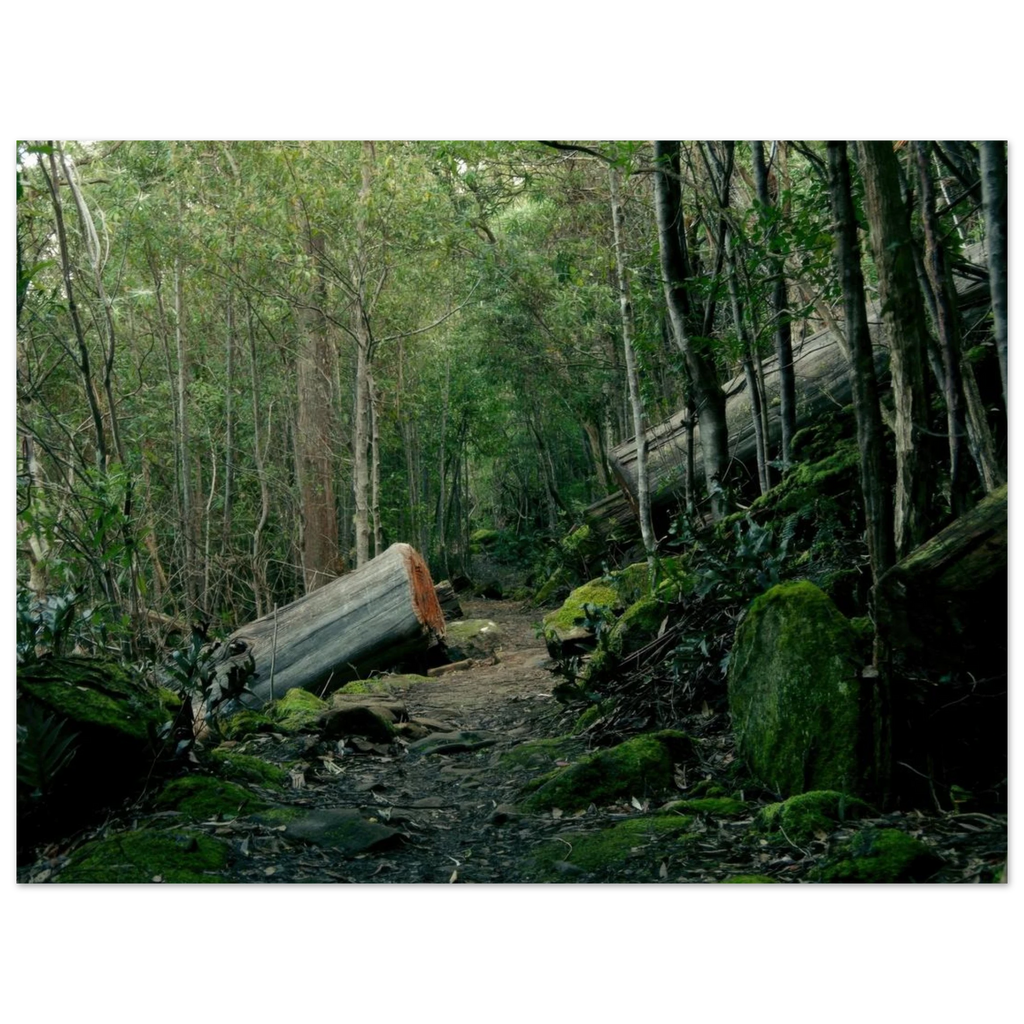 0cfa438f-8002-452e-9b25-19f45a50ec6a