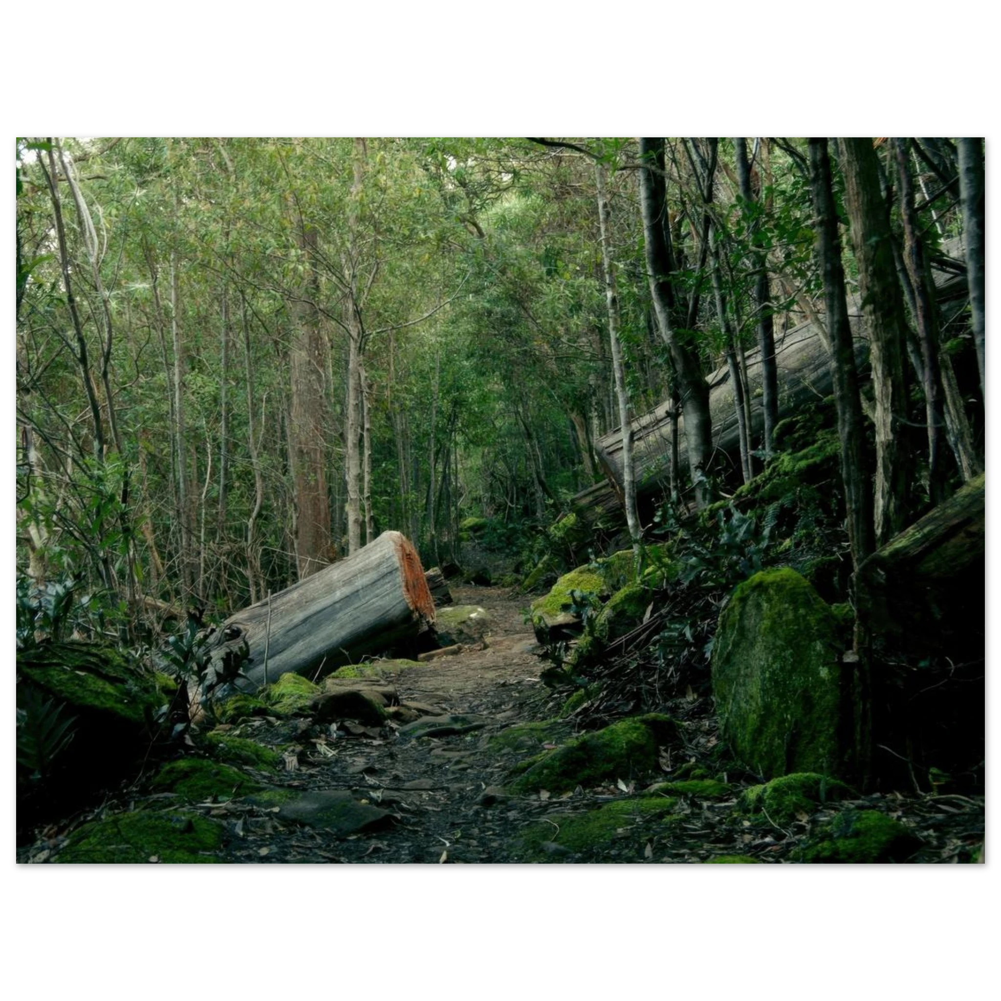 0cfa438f-8002-452e-9b25-19f45a50ec6a