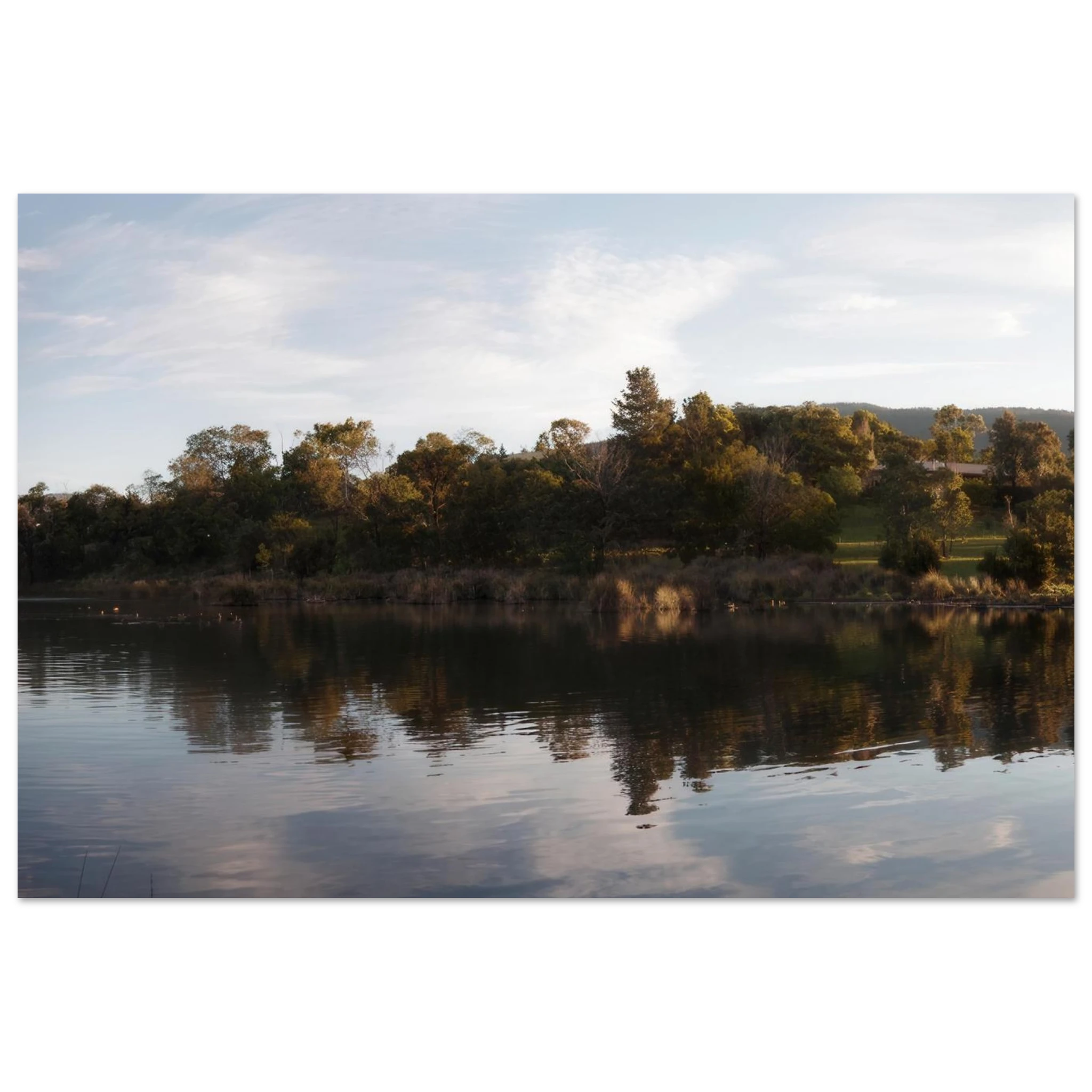 0dea13d9-824a-4f31-8728-efacace1a490