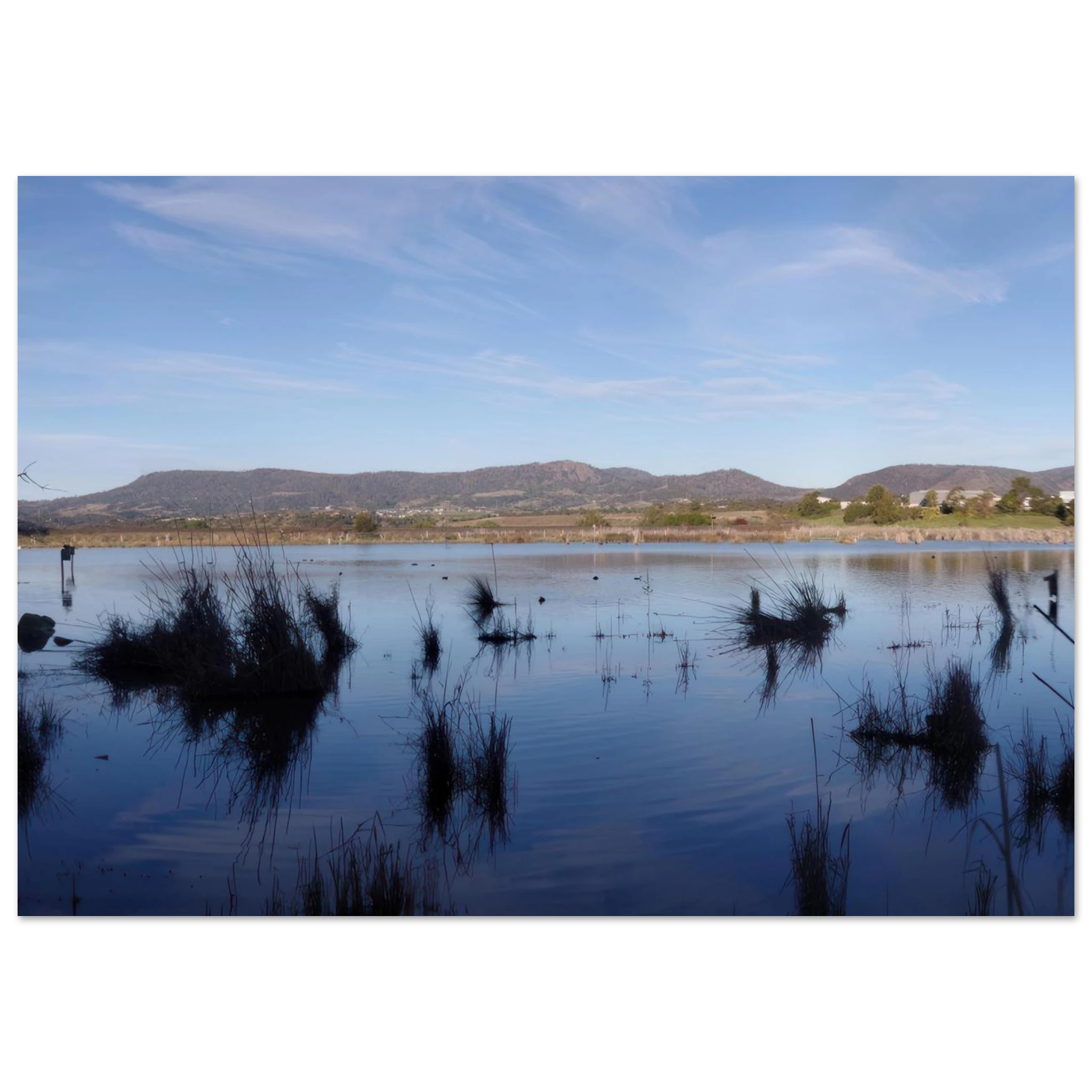 0e65a009-e4dc-4cdb-9987-b82561dbfc8c