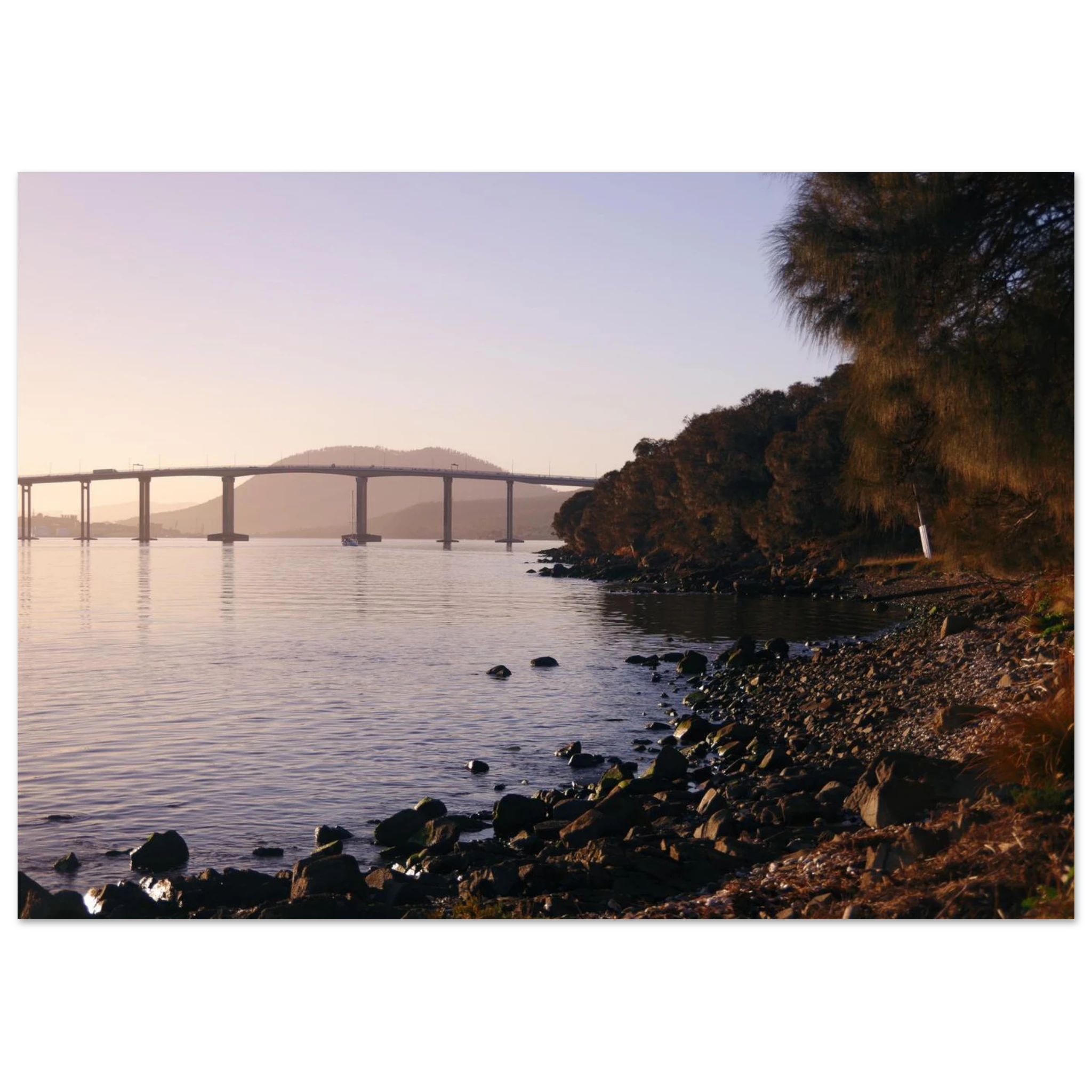 100b7bc5-8419-4d6a-8eed-11b7ee79303c