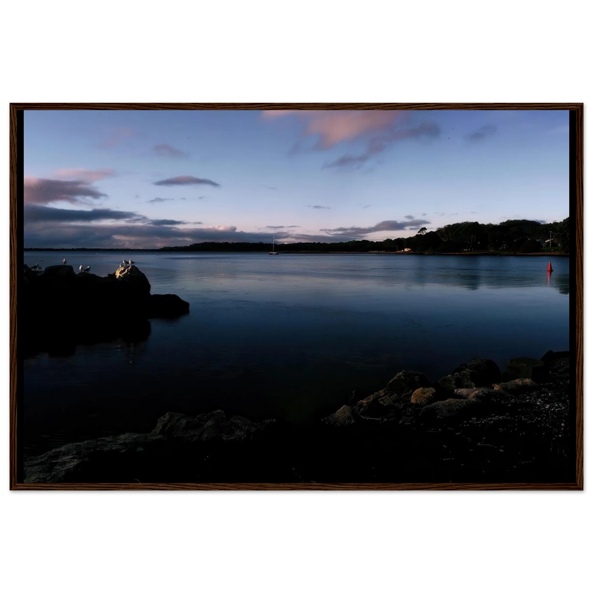 116dff2f-239e-4b9b-9b97-ff1495c744f1