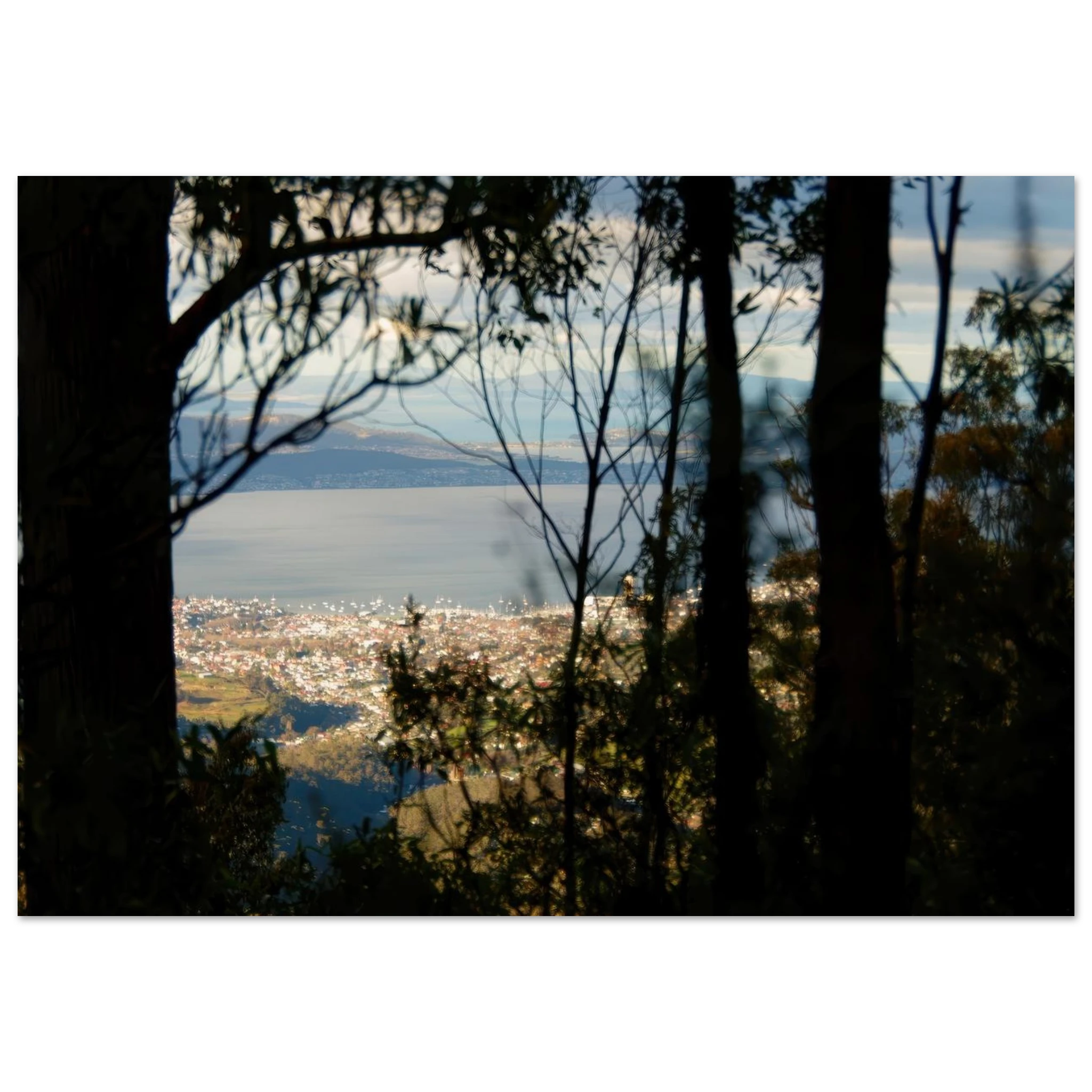 11ad37af-4257-4e30-a4c6-a49548a2ece9