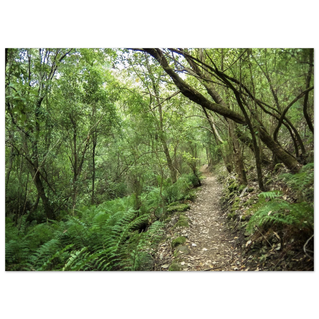 137c5f13-7ecb-494d-86d3-112d87541413