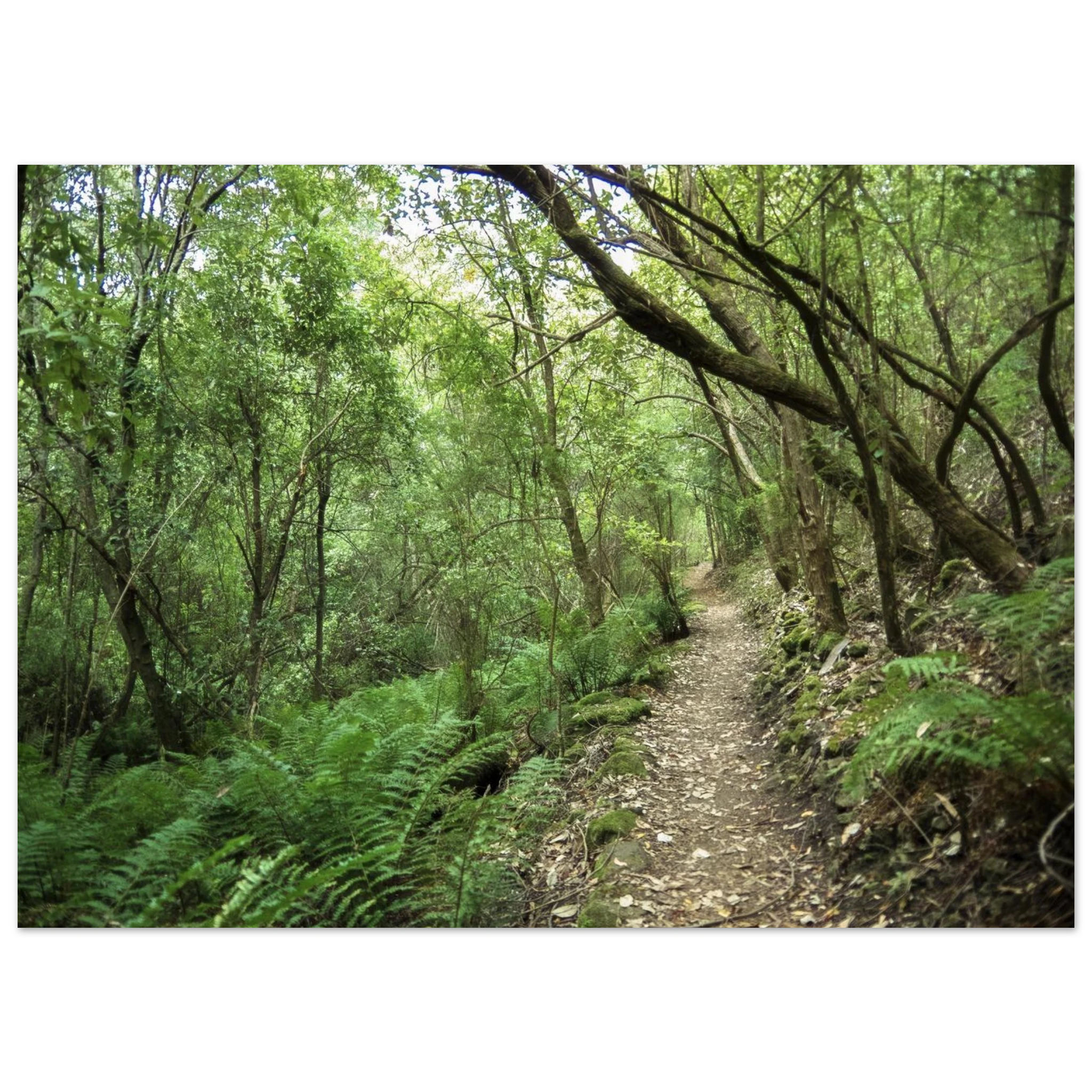 137c5f13-7ecb-494d-86d3-112d87541413