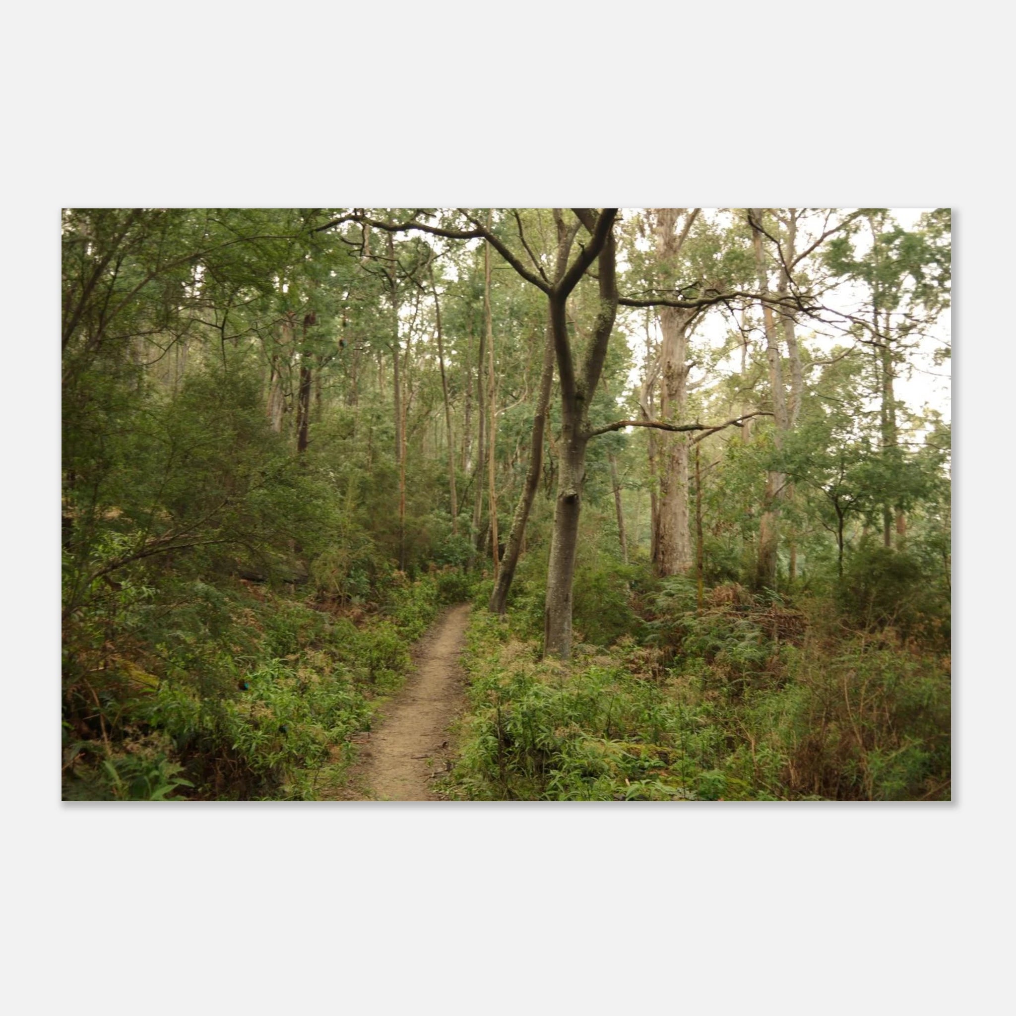 14596813-910c-446a-8096-0689a16f7da7