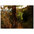 1565f2e2-f6ef-44f2-a491-4bab561643e5