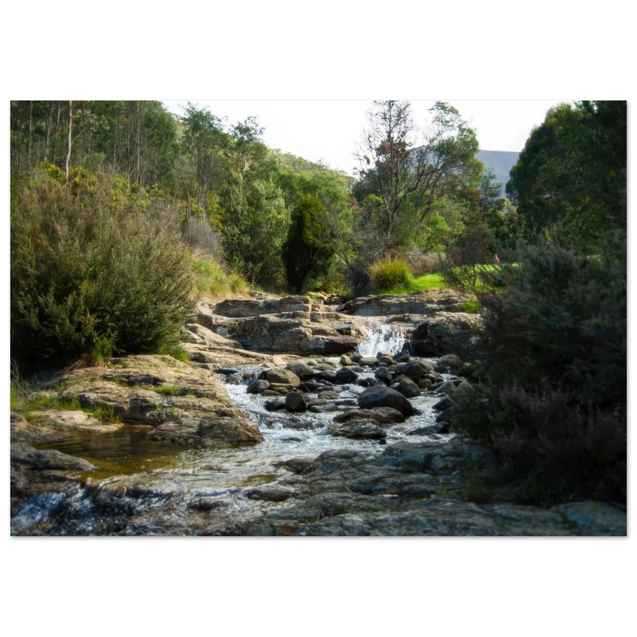 19ef5946-0267-482a-8a0b-03c575af7bed