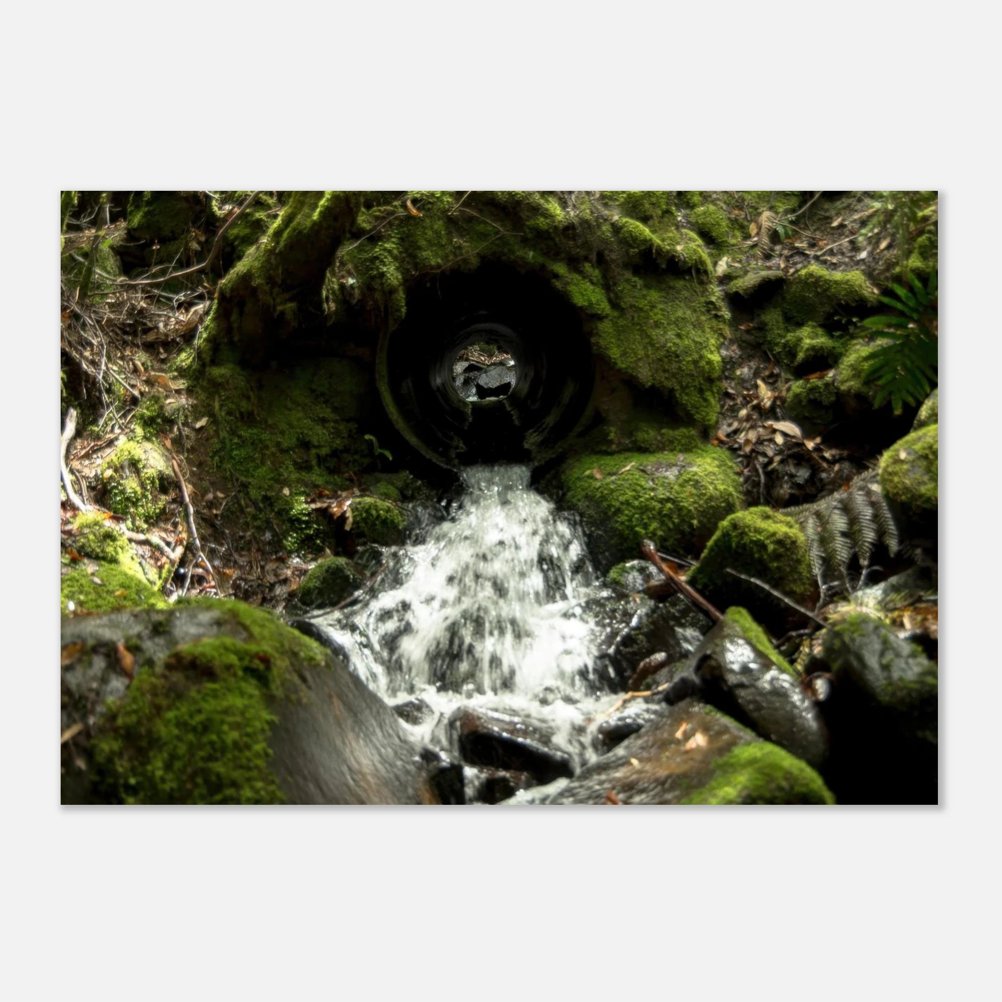 1b25ddc6-e73d-43fe-8d18-dfda38379a11