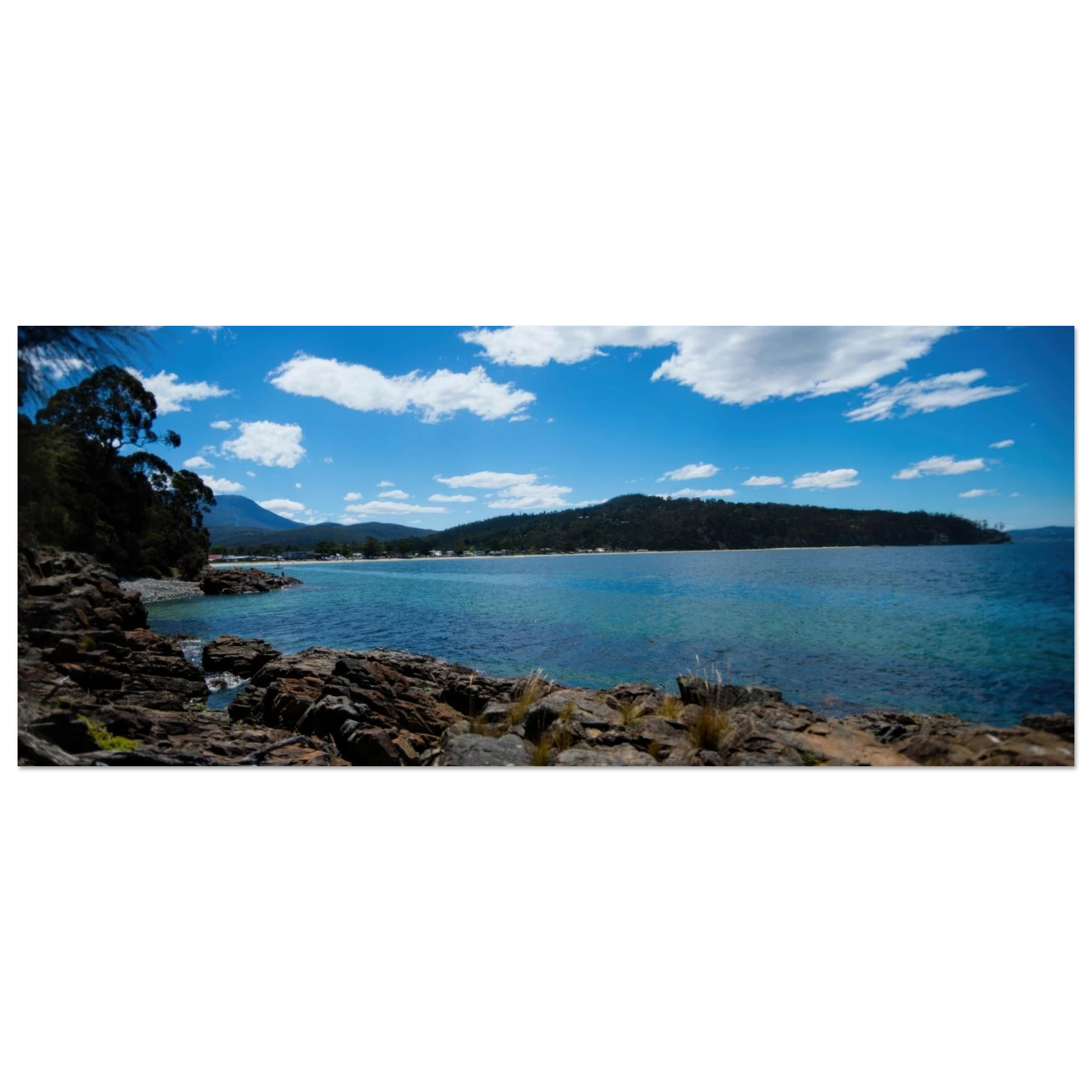 1b73a243-cc88-4e93-a9b2-c9d42e704a83