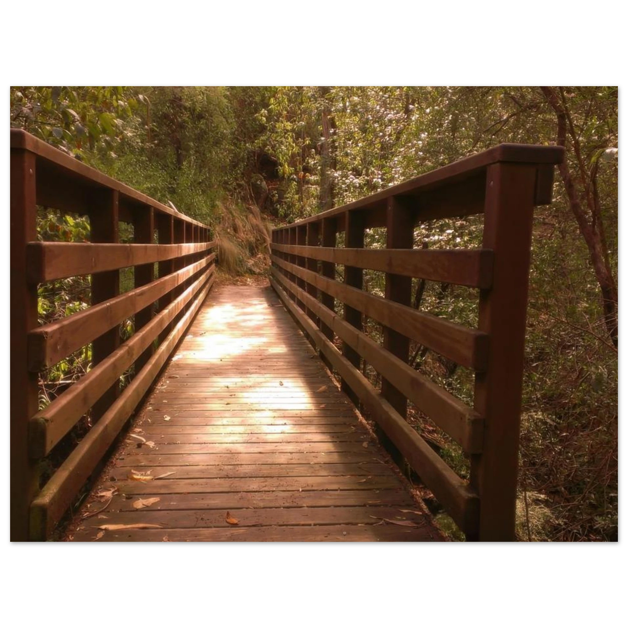 1c731f20-23f5-47bd-83d1-920b346a3329