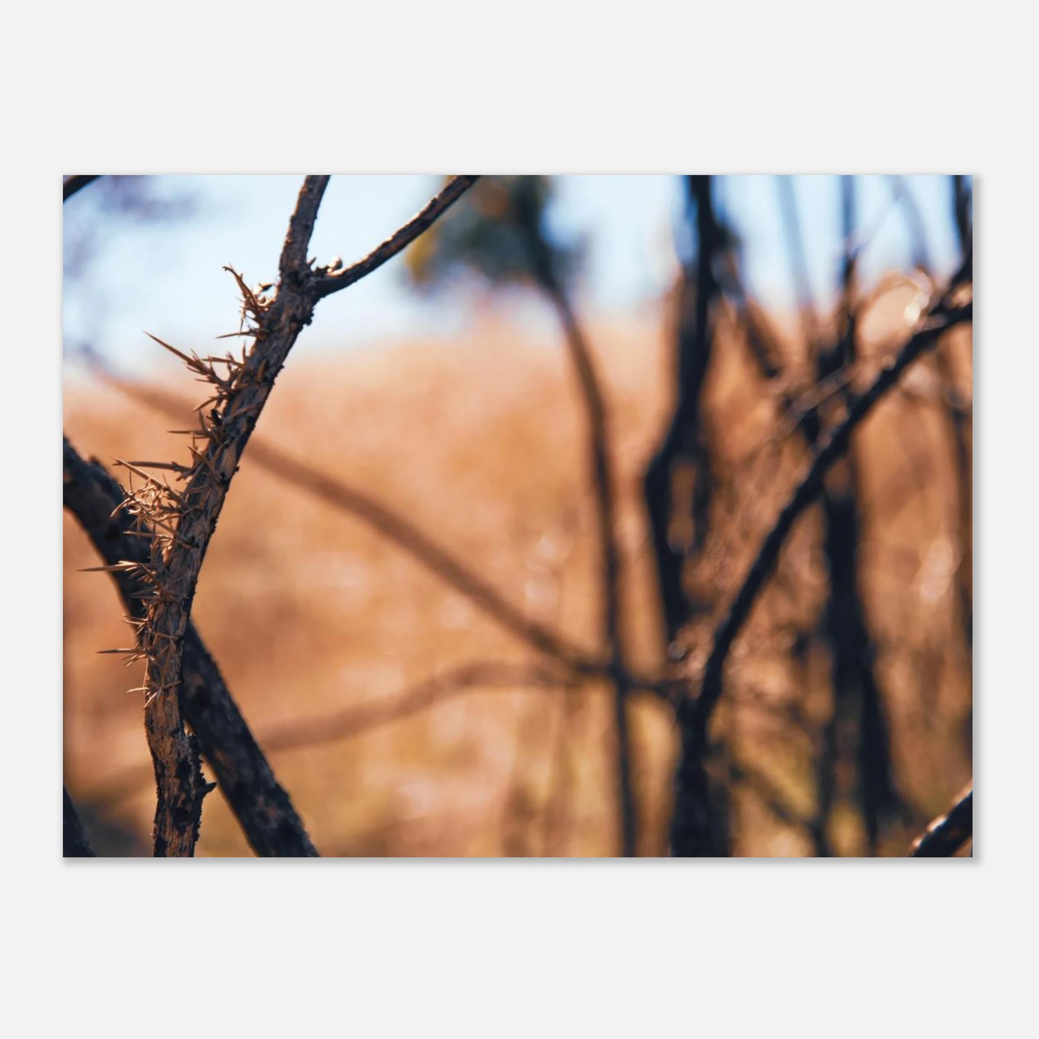 1cf93ca5-fe6f-4fa1-88d2-5fabbe068fe5