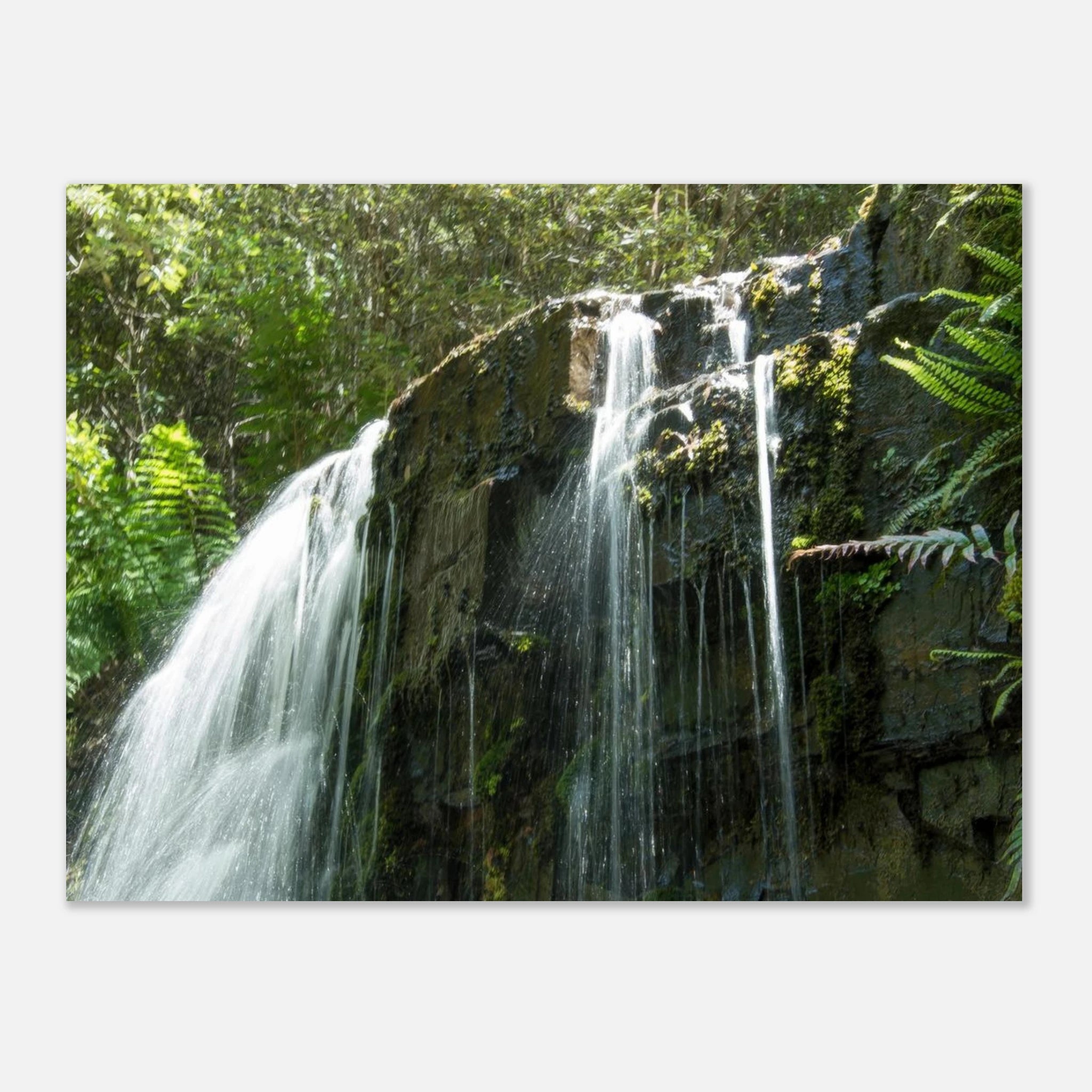 1d6d7d3d-c950-4c5a-99d1-a3d54810b85f