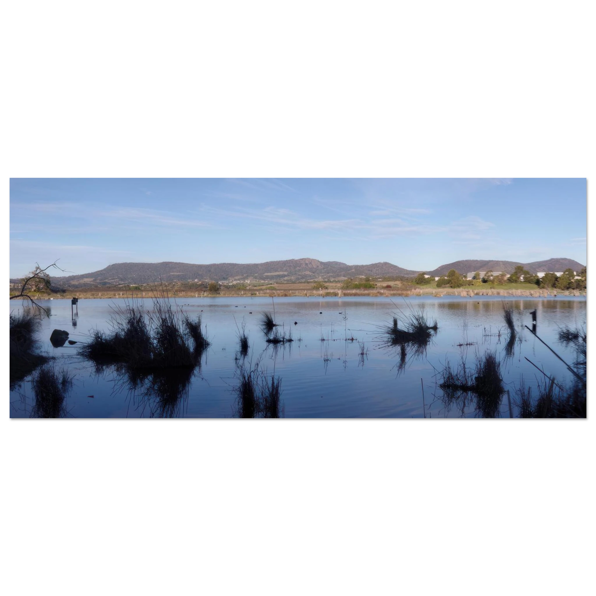 1f4aa41a-7652-408e-b245-db83136fd6fe