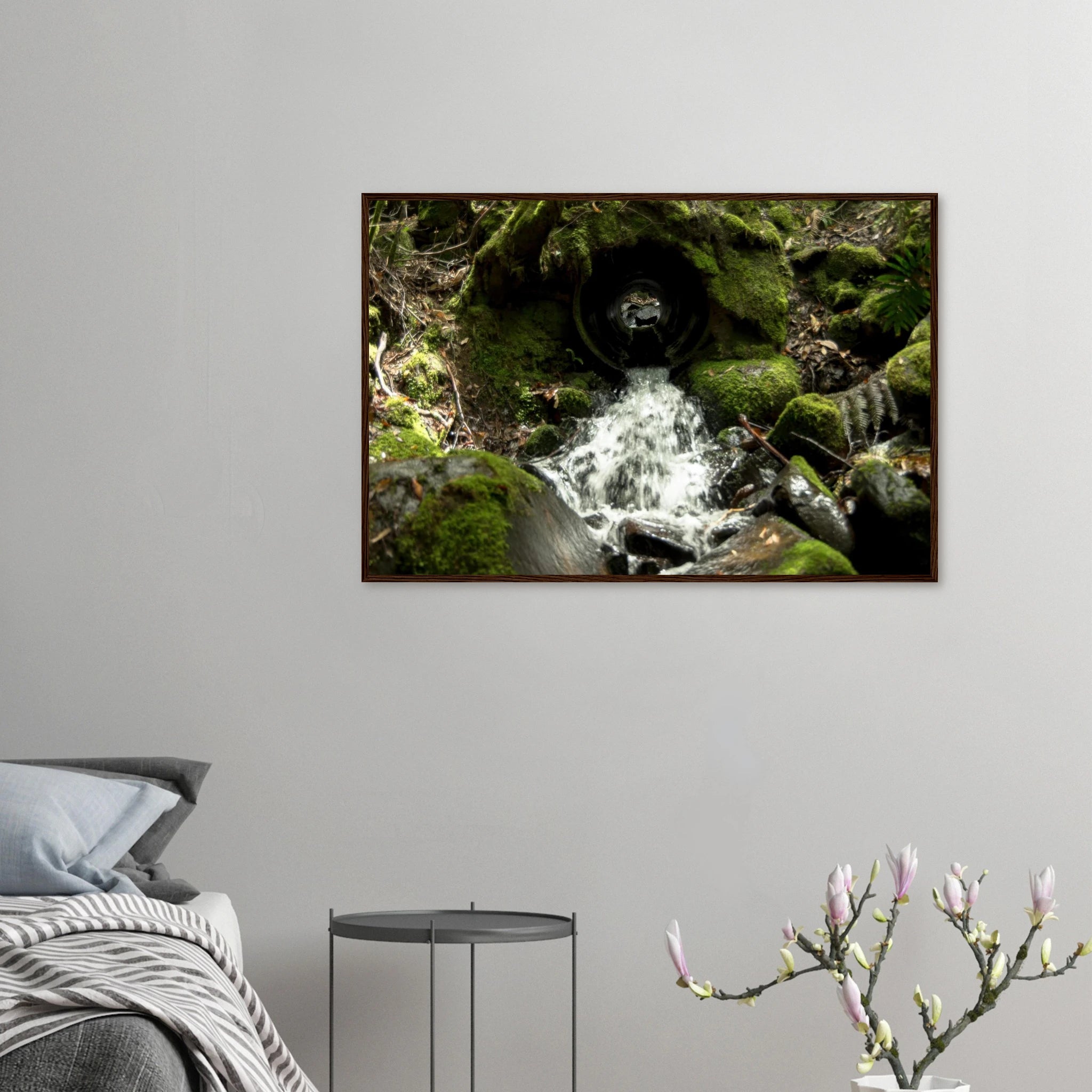 2050d55c-af92-48f3-8e4d-a9b4172cb09d