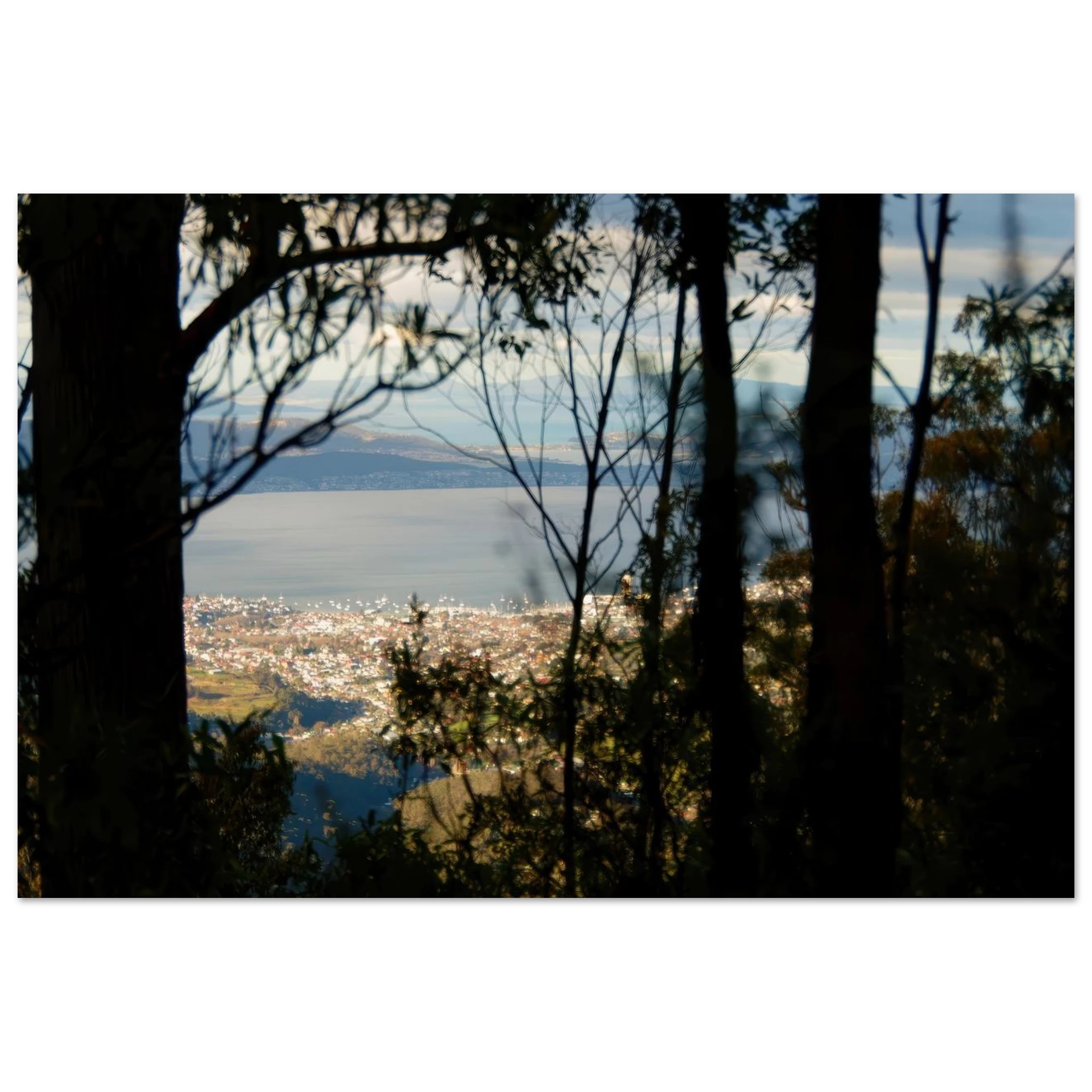 21945344-dc8f-4e17-ae40-384ca1fa088e