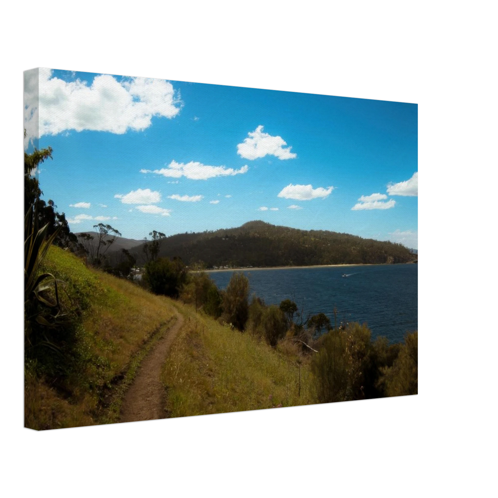 221b7b10-c306-4a43-97a5-9a7f5c48f38e