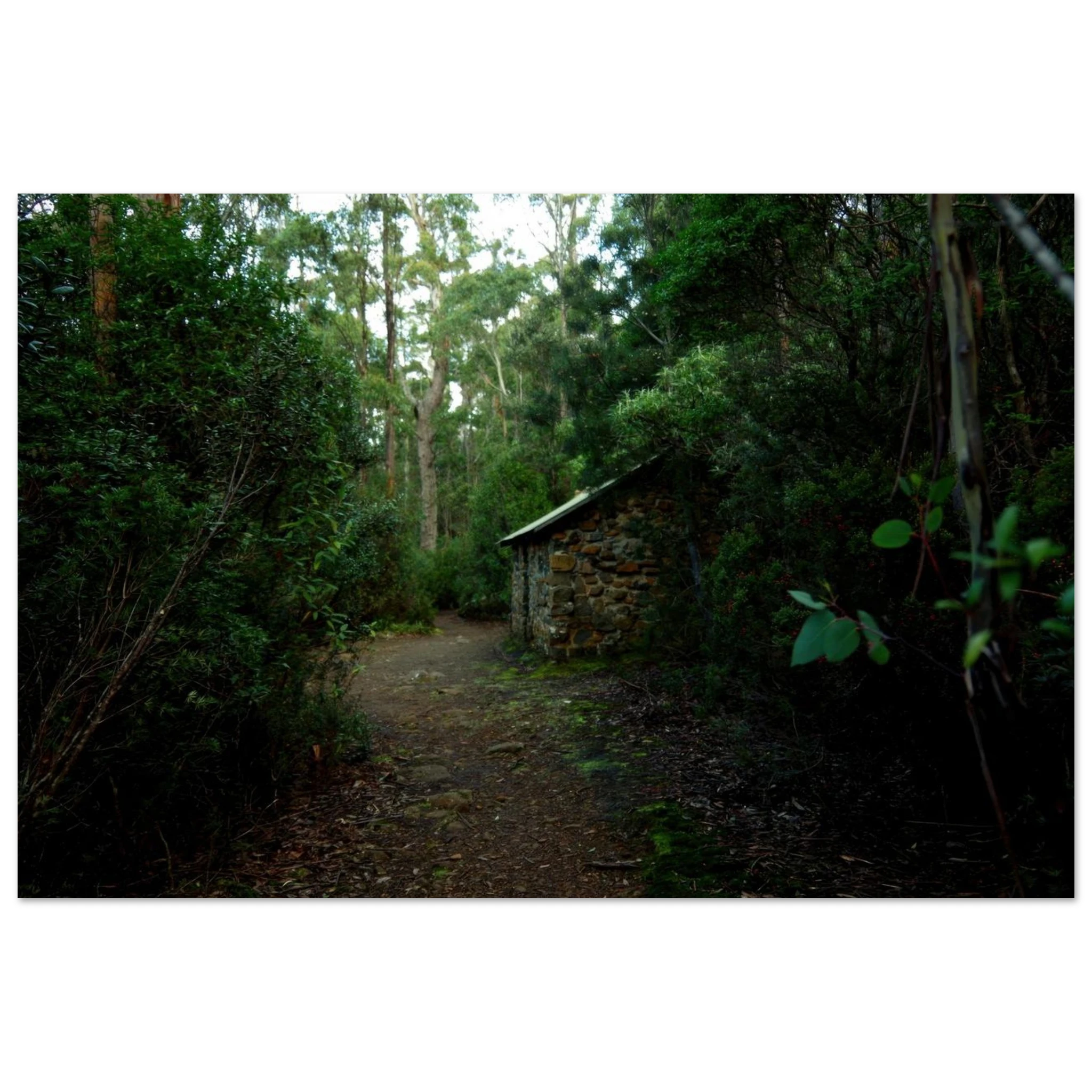 2346042b-f6b0-492b-a2ae-019d028a9584