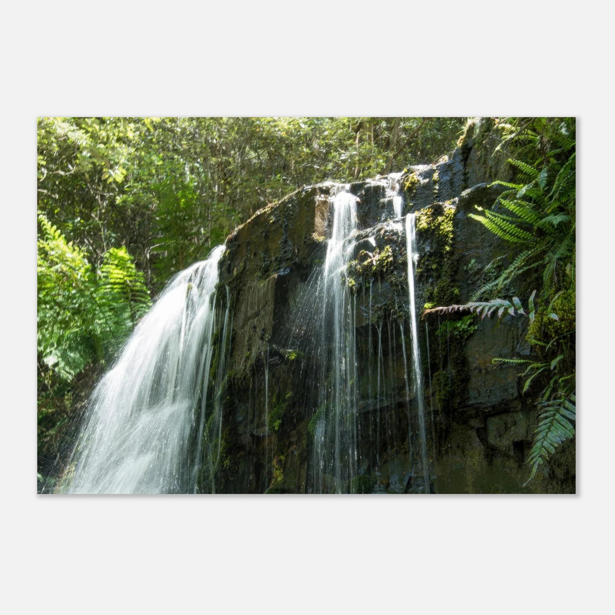 248822d5-b3cb-43b2-8a7c-0feeade8855c