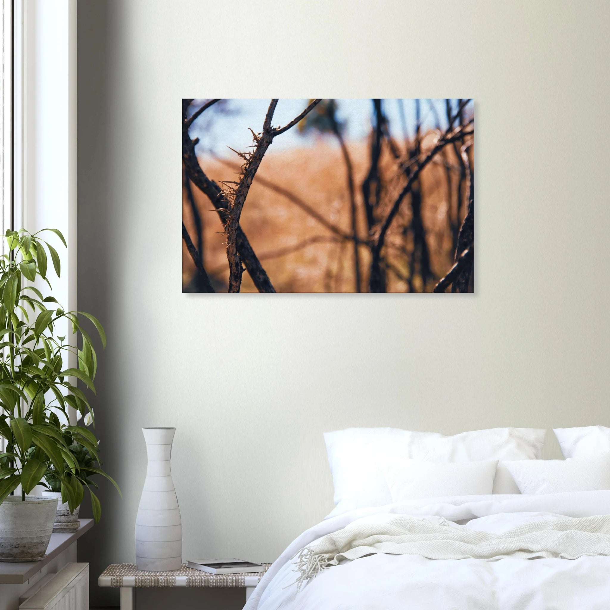 29443b17-239d-4268-b604-145f5d1d9390