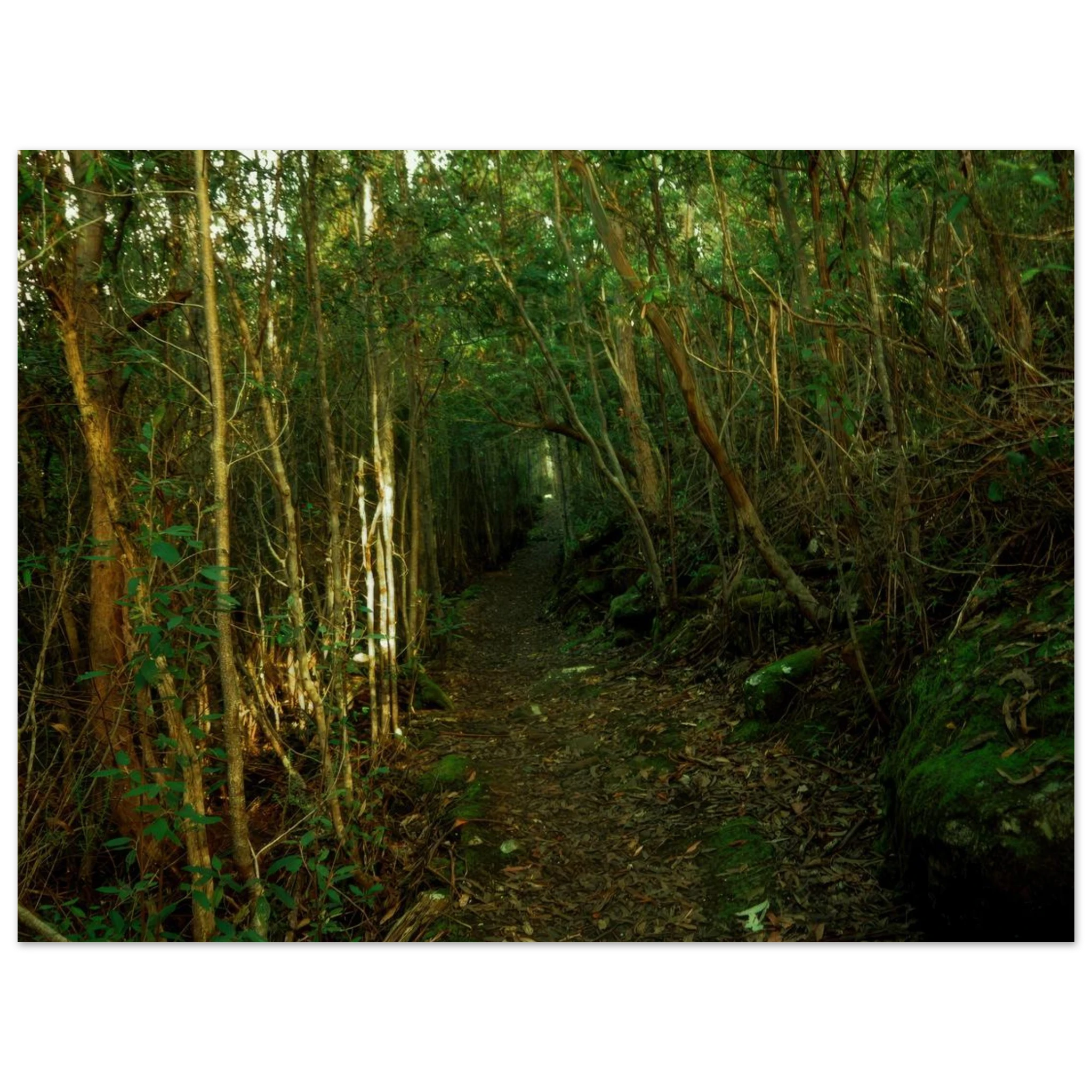 2d102f00-7c60-42e2-a5bd-cc4359aa2c96