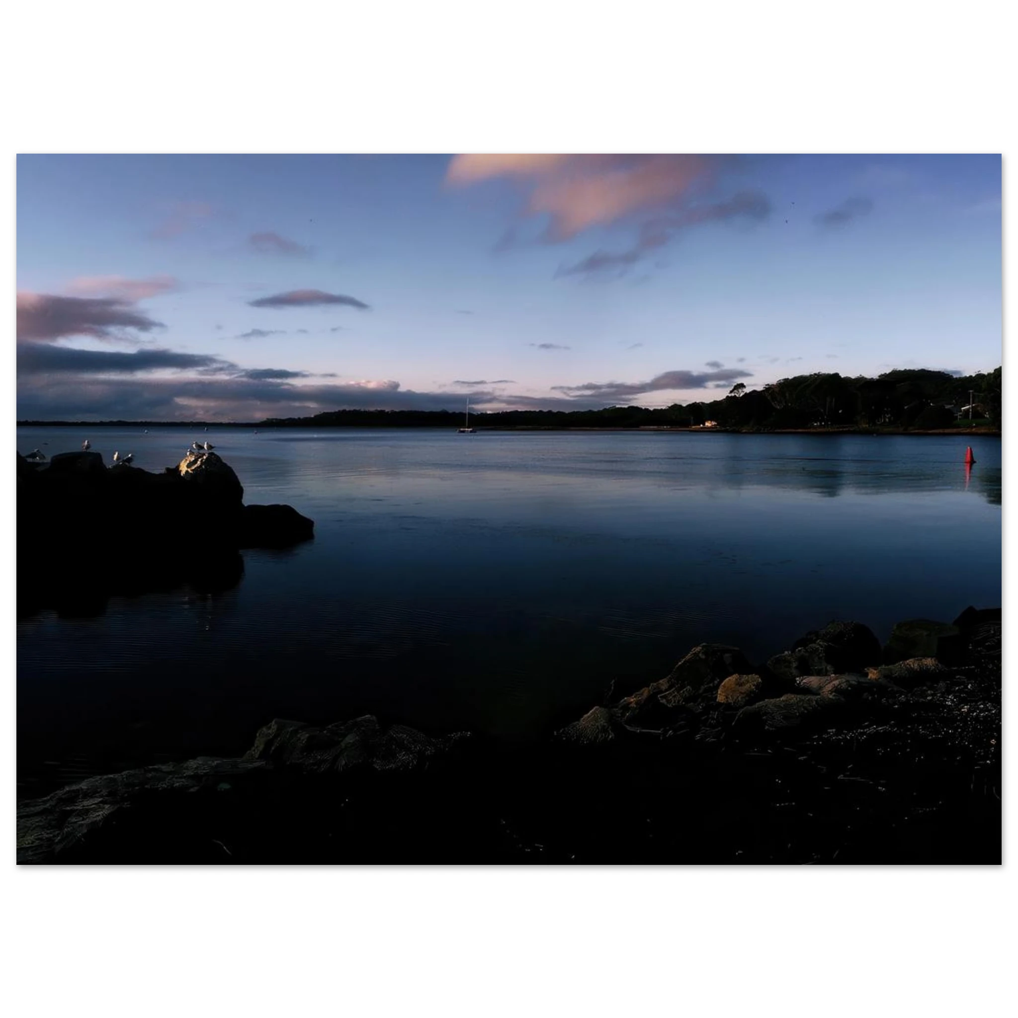 2d881fd1-68bd-4a9f-80ac-4eb18937a680