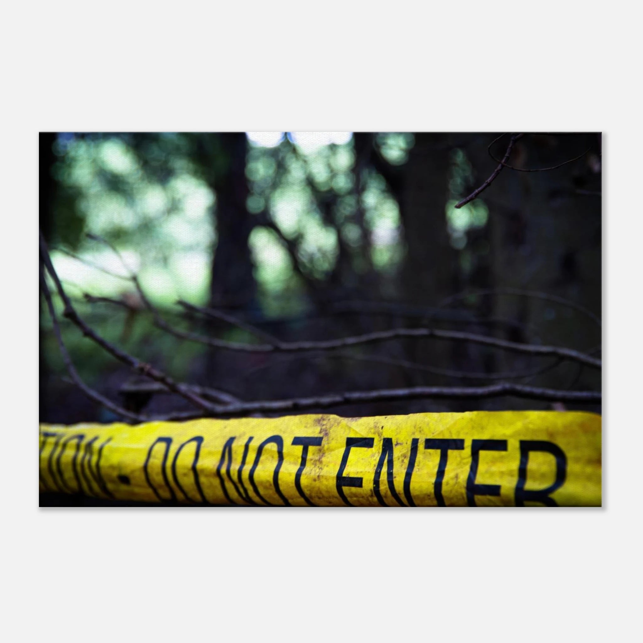 3363d690-f7ec-4a73-b318-e8986d20fa6d