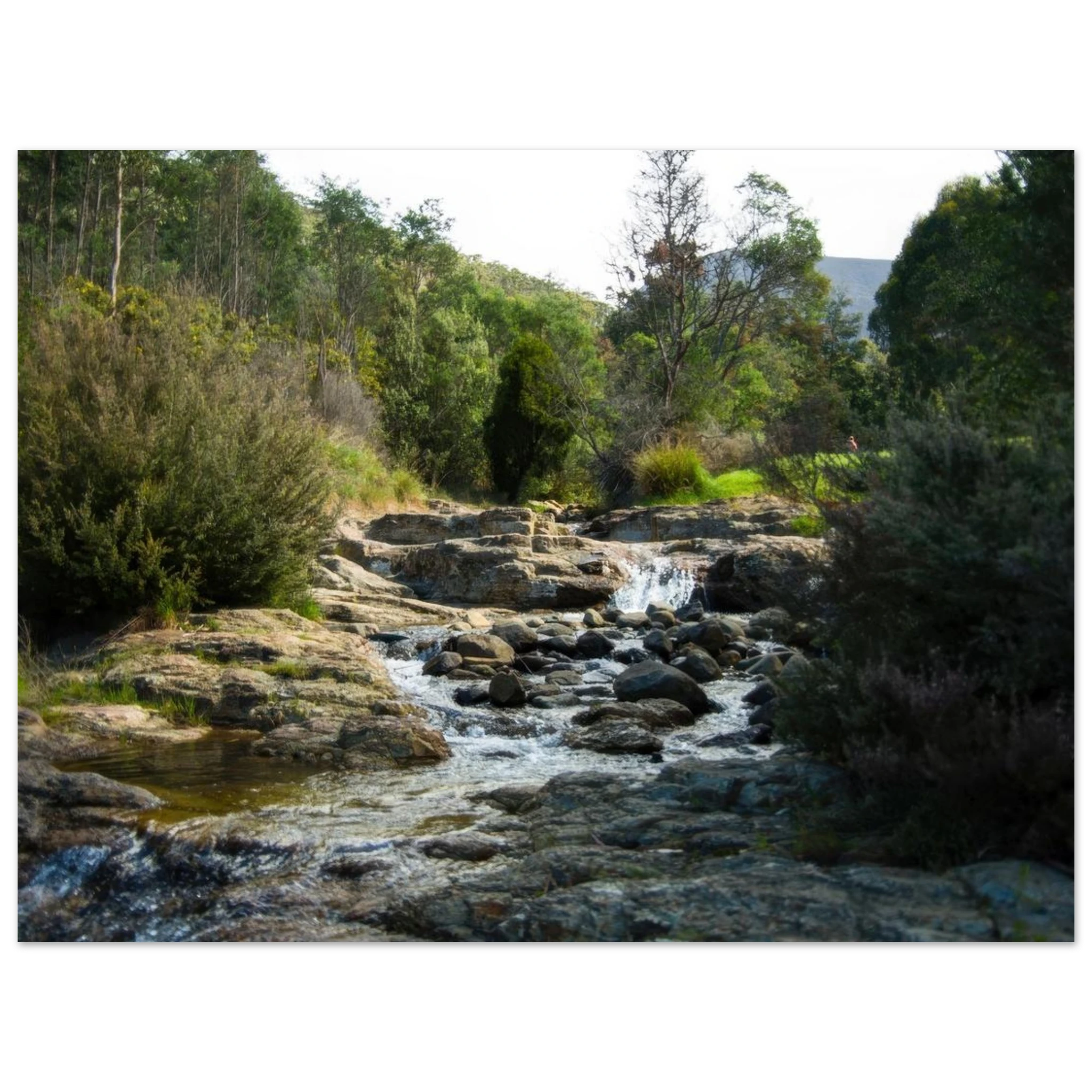 37db271e-61e4-4196-8719-ec7e86b3647e