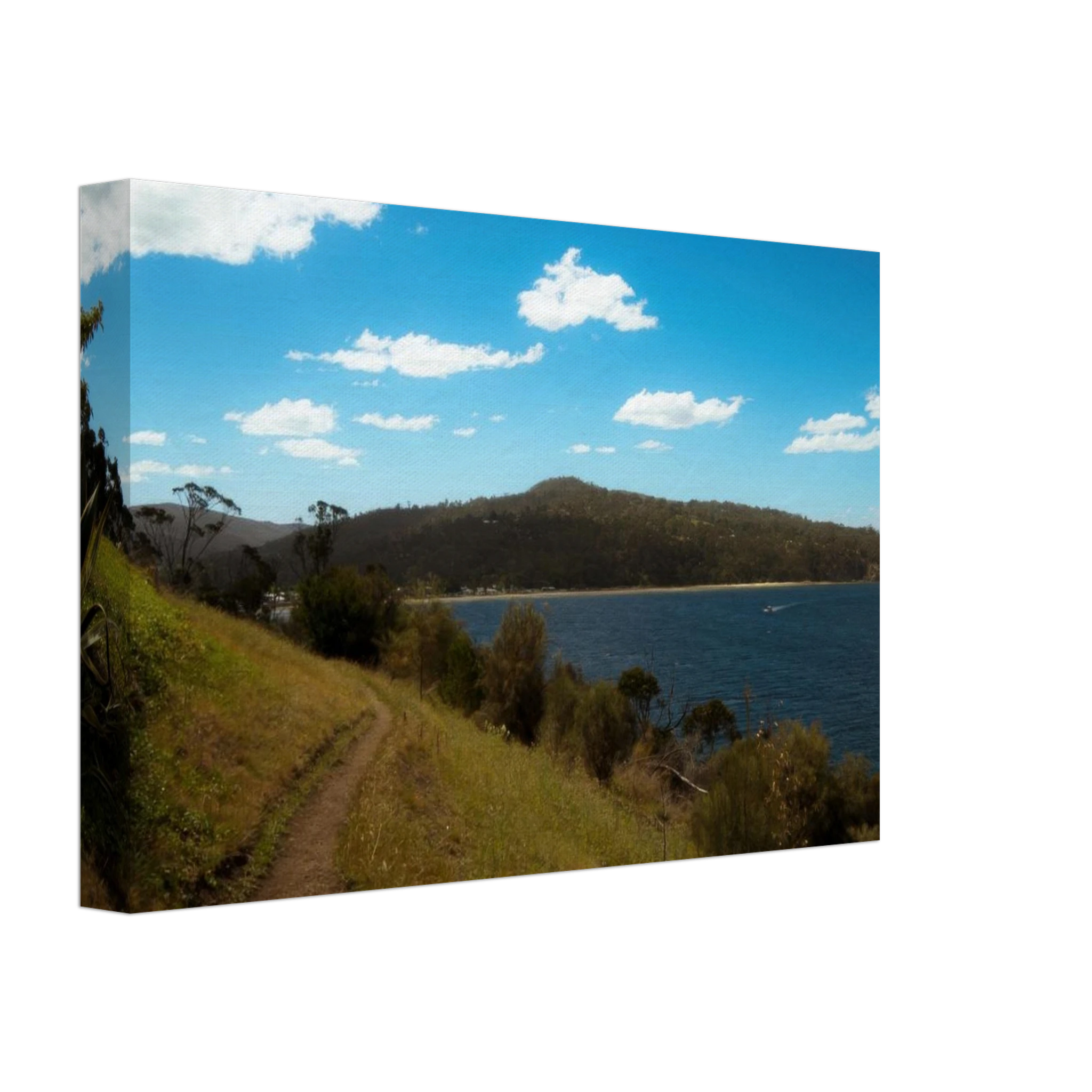 38944f0d-fa1a-4606-9ad1-14bd9c8f90f4