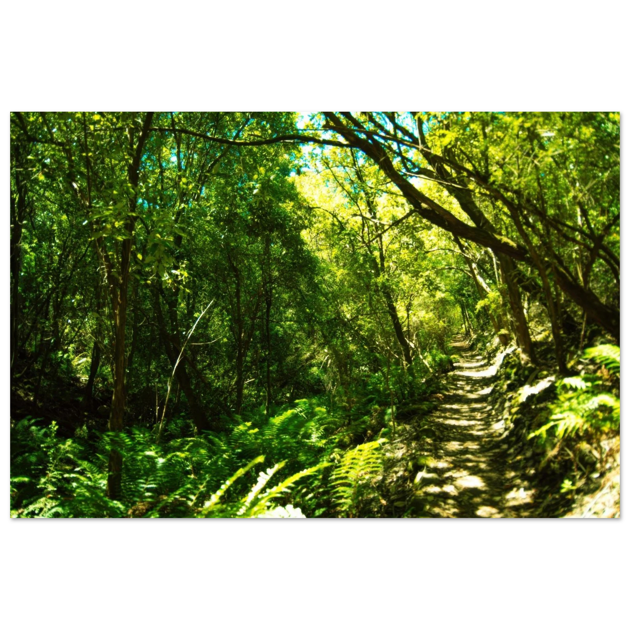 3cbd31b8-81b5-44fa-90db-8d8383ab2fb4