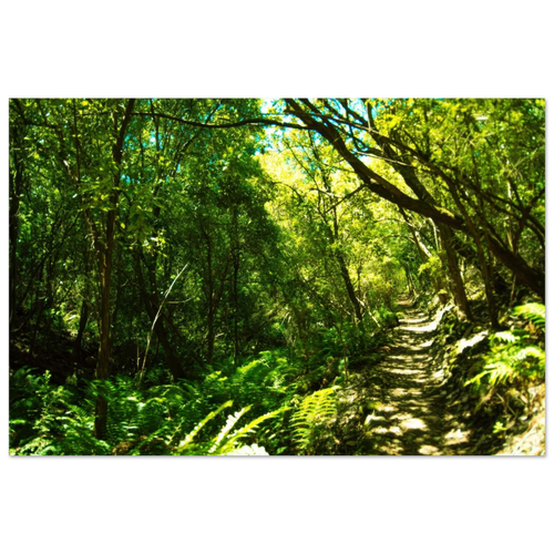 3cbd31b8-81b5-44fa-90db-8d8383ab2fb4