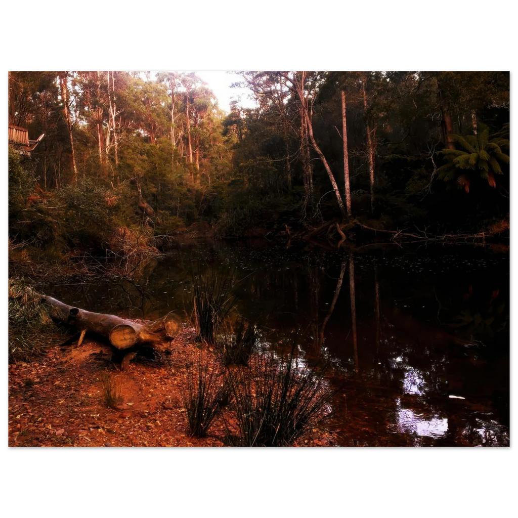 3e78712d-1486-4a8b-a5db-89ed9d311f13