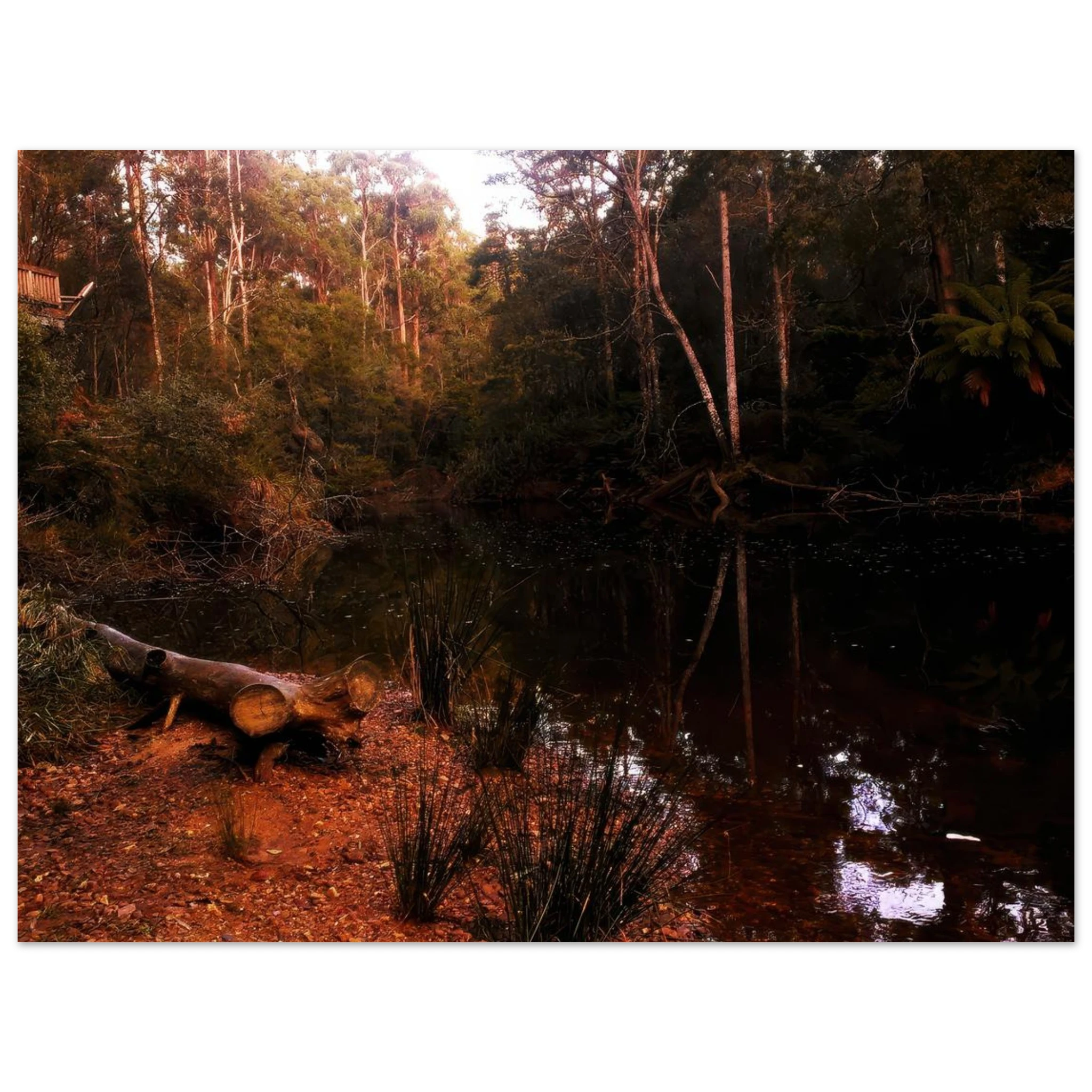 3e78712d-1486-4a8b-a5db-89ed9d311f13