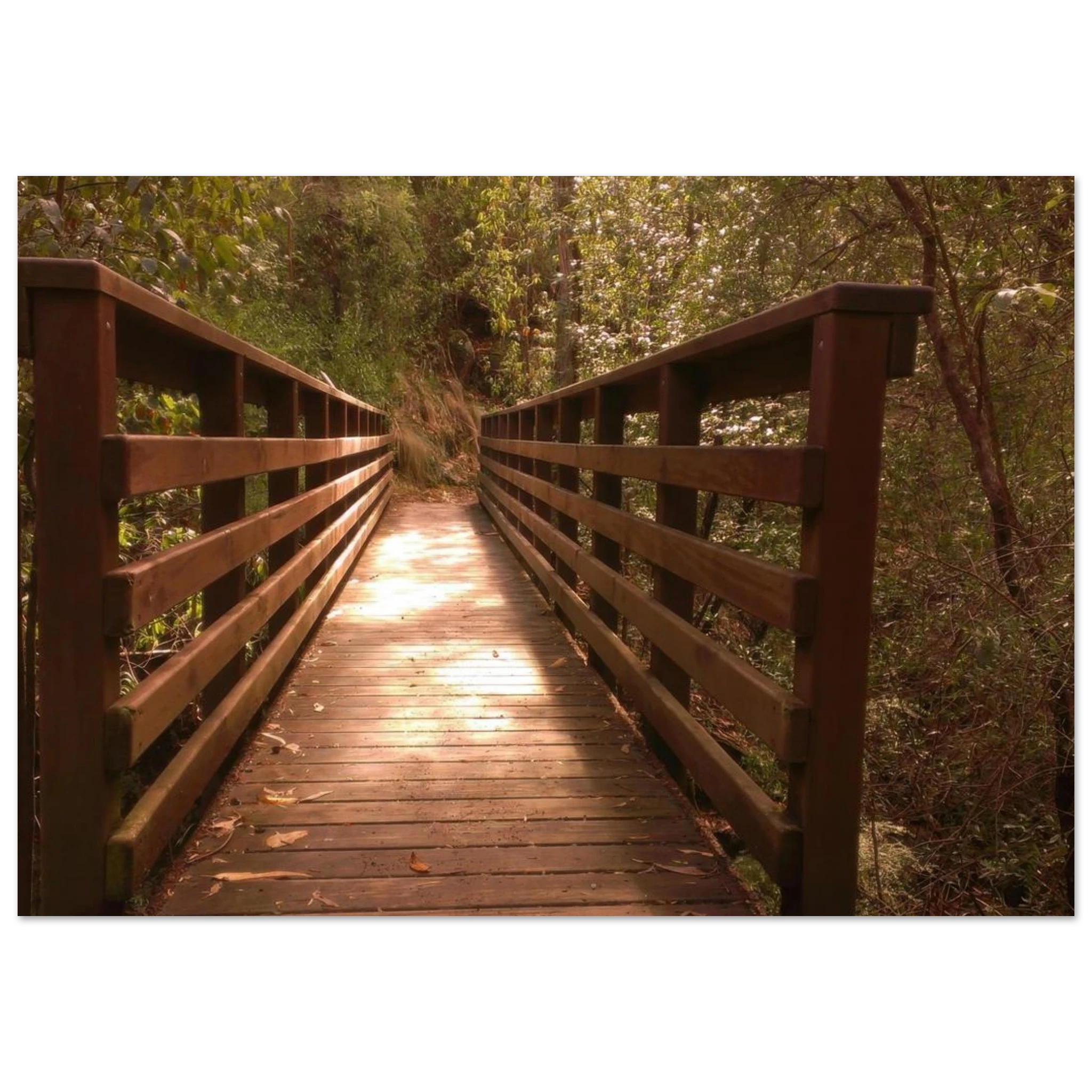 419ee0eb-1814-4bc7-842c-1458b5332e35