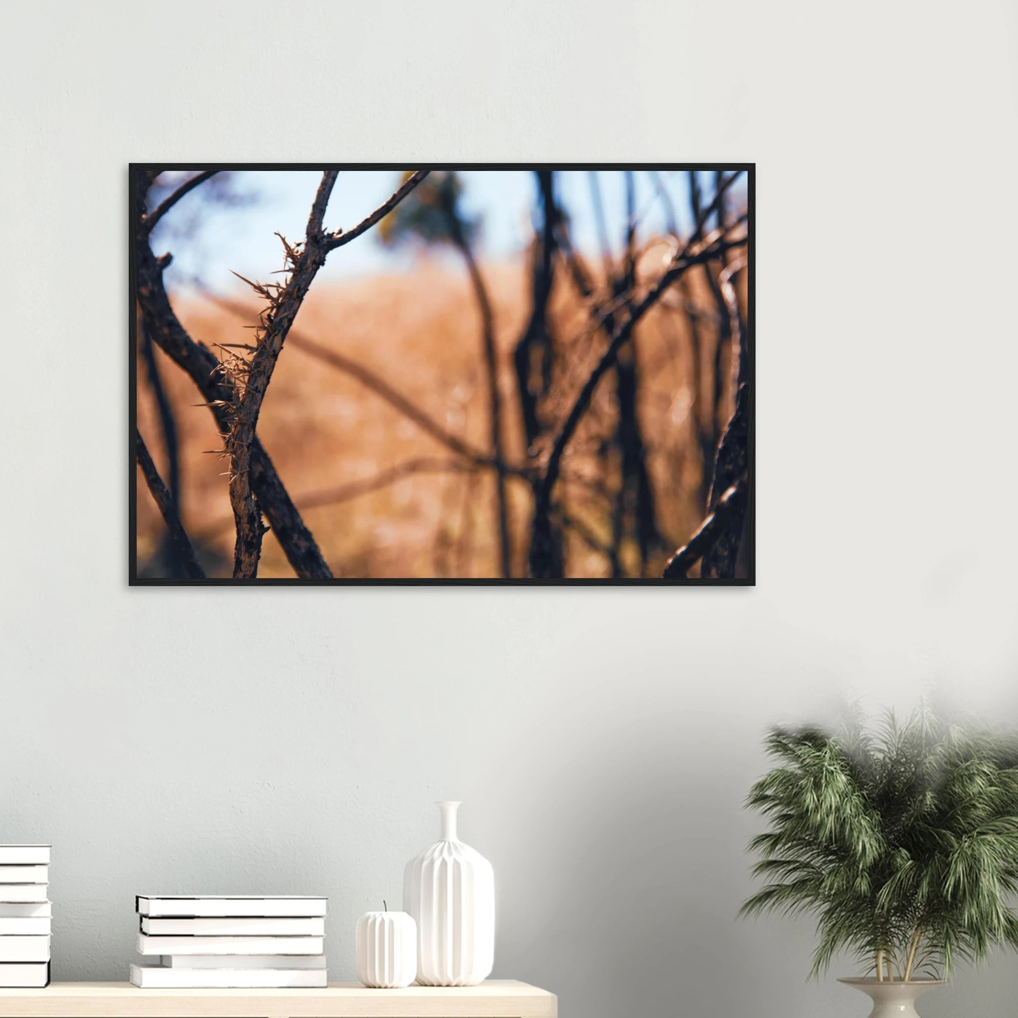 426cfe15-205d-498f-ba01-443c78b5a4cc