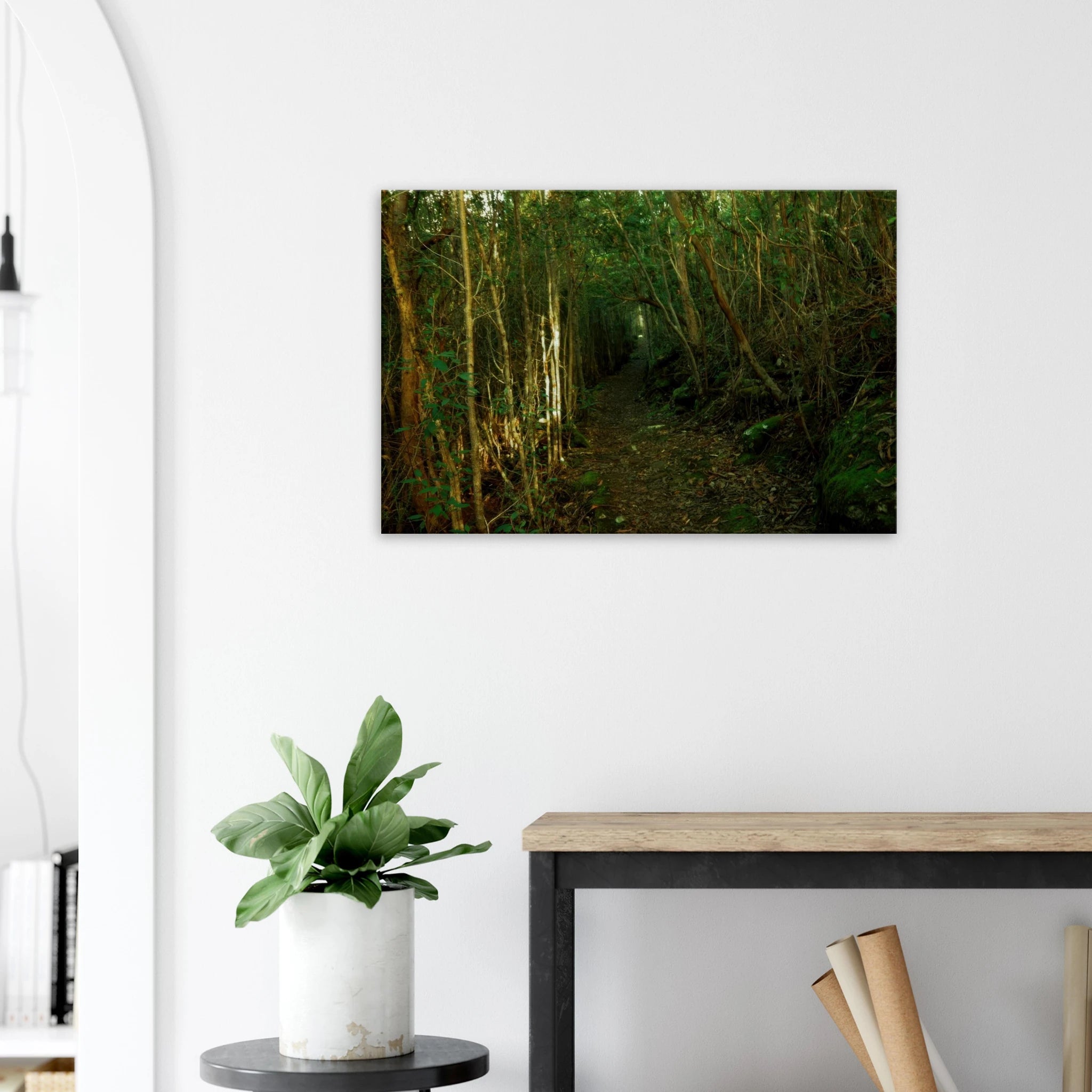 4498fca8-0913-4824-aa17-8148d5b4f69b