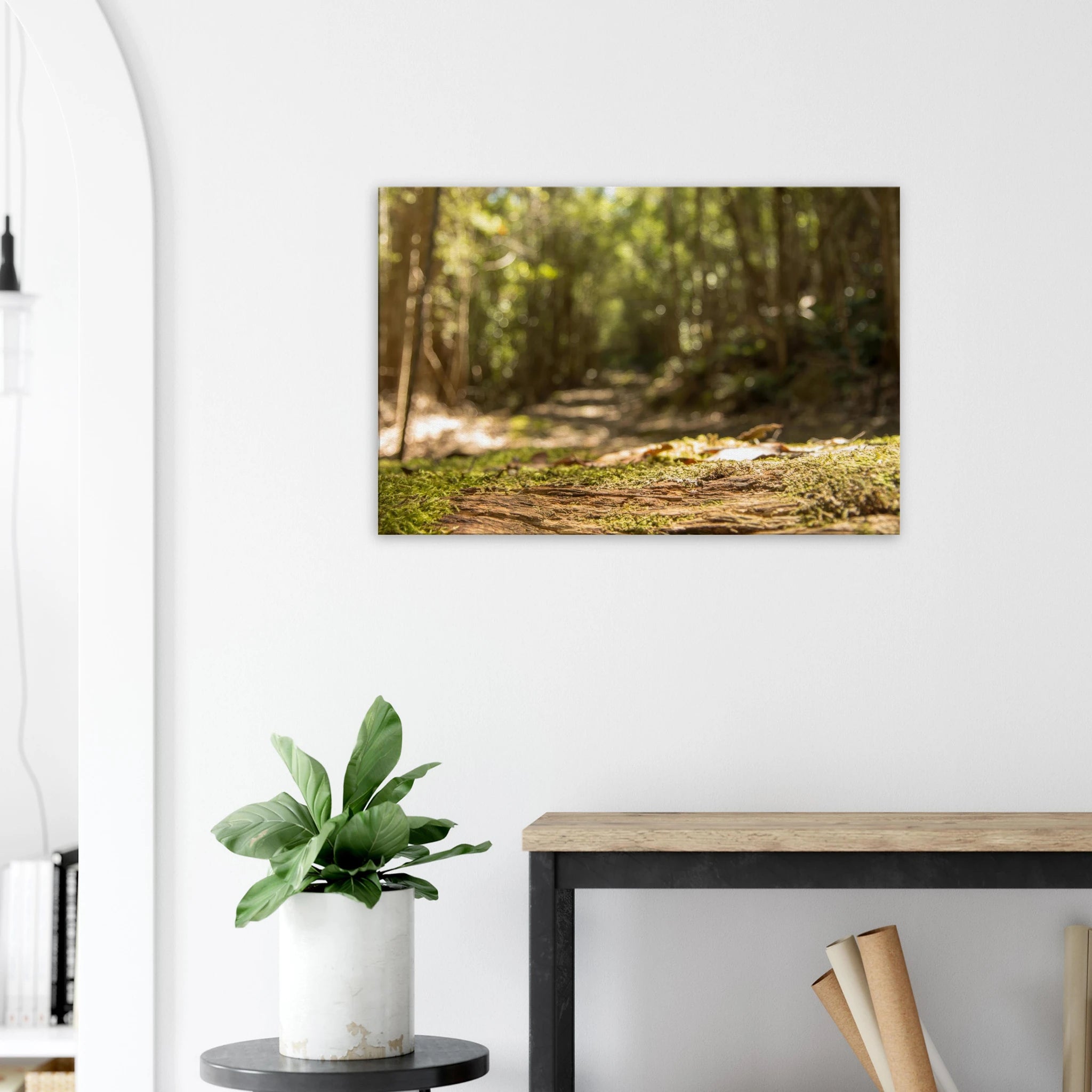 45c26a8d-193a-46f3-9896-3878e178970c