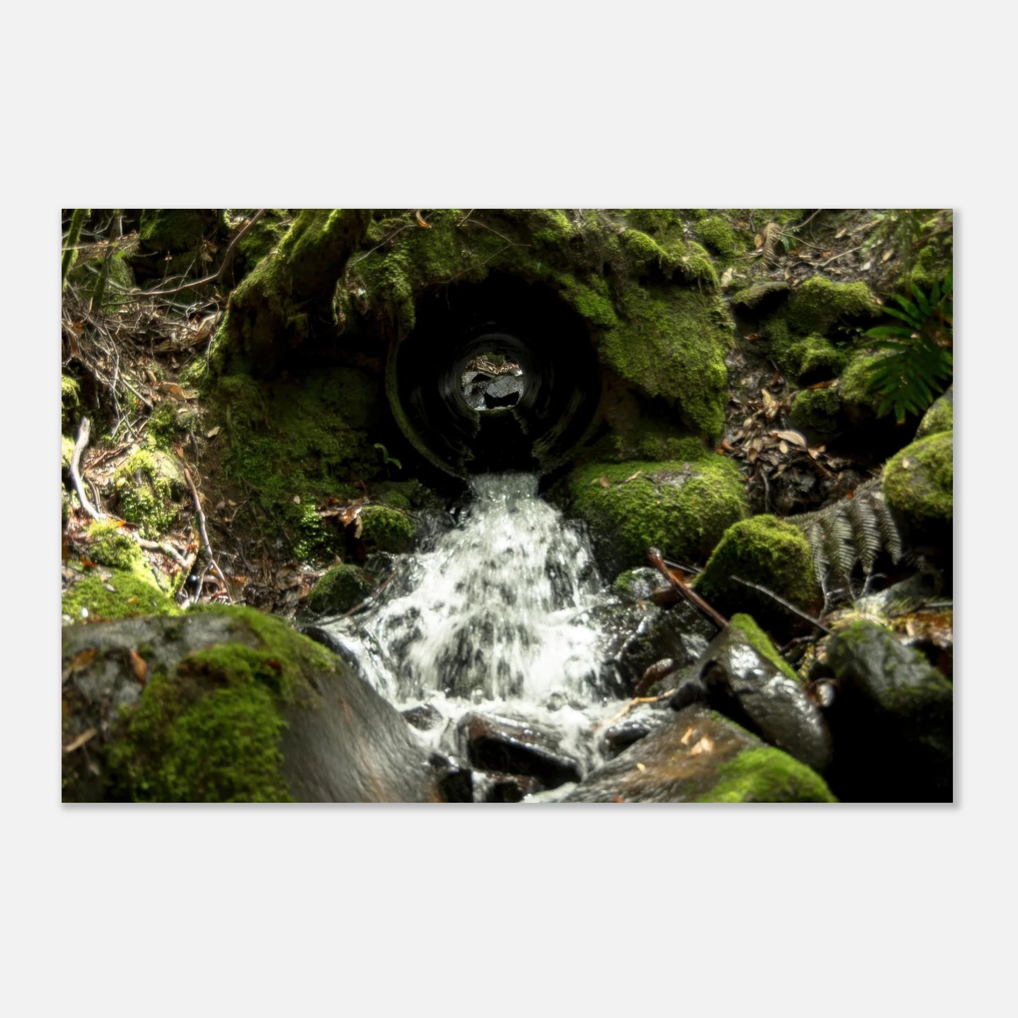 466923cf-b13f-4320-92af-14686ae51431