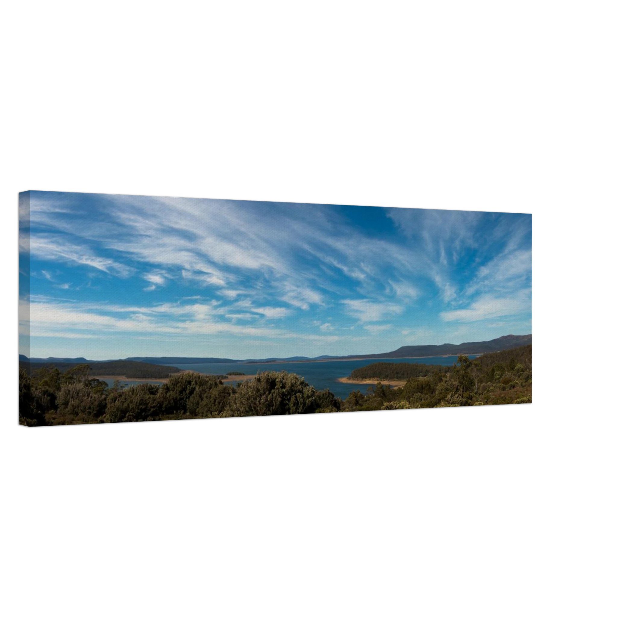 4891358e-77a2-48c3-a74b-413df1c2aa03