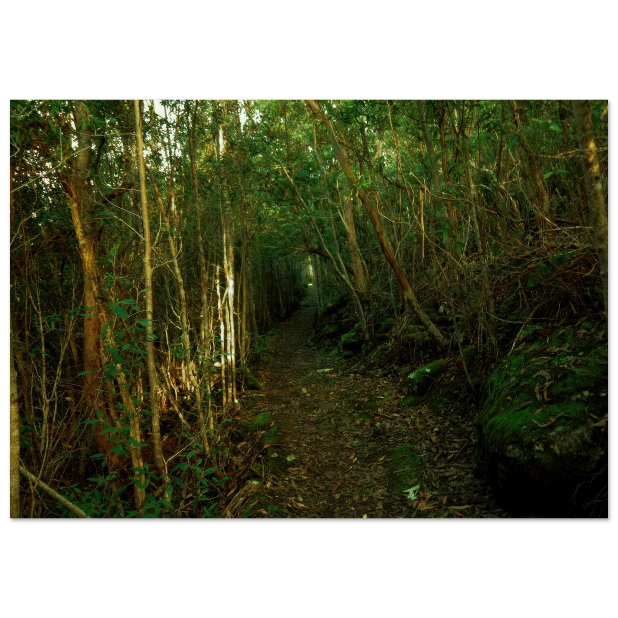 4911441f-48c6-4d2d-8d40-bef045de7c60