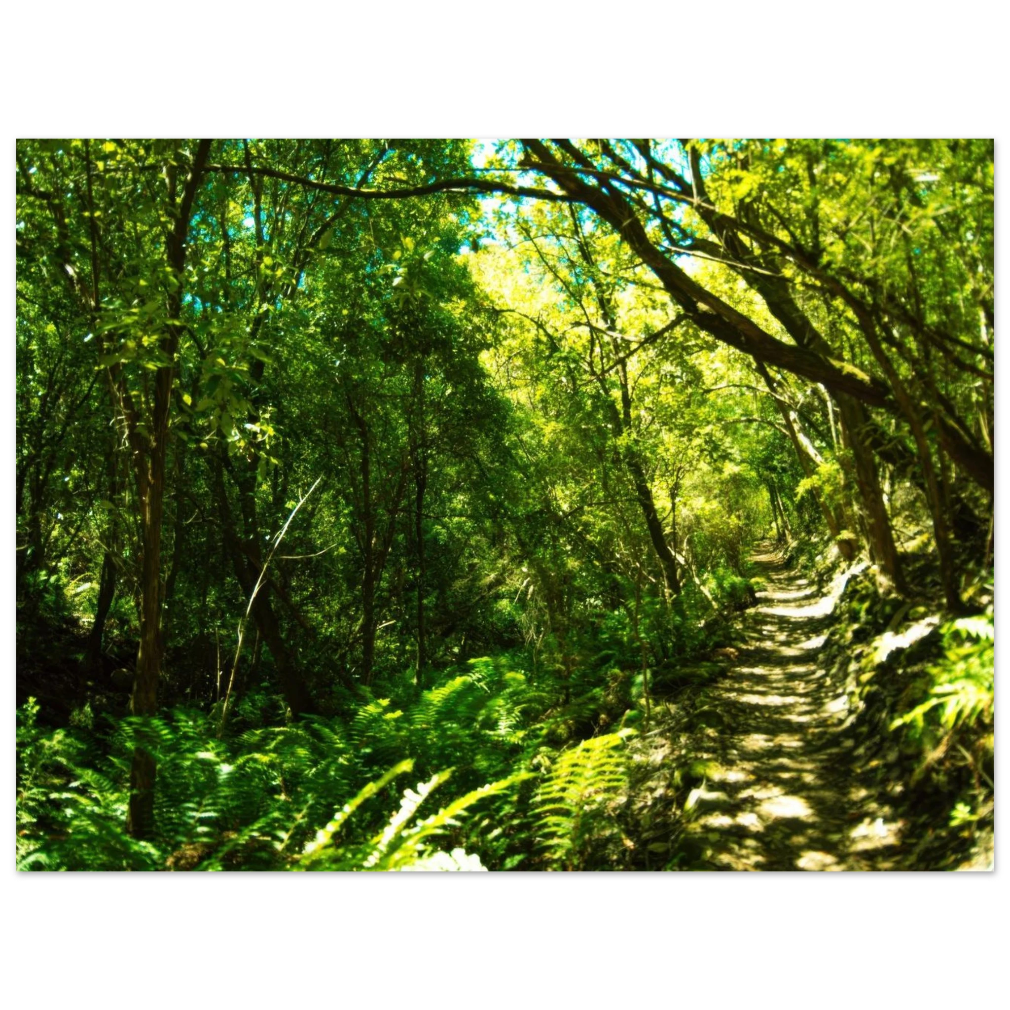 4efc2f0d-7e1b-45fa-a46c-849a79f04789