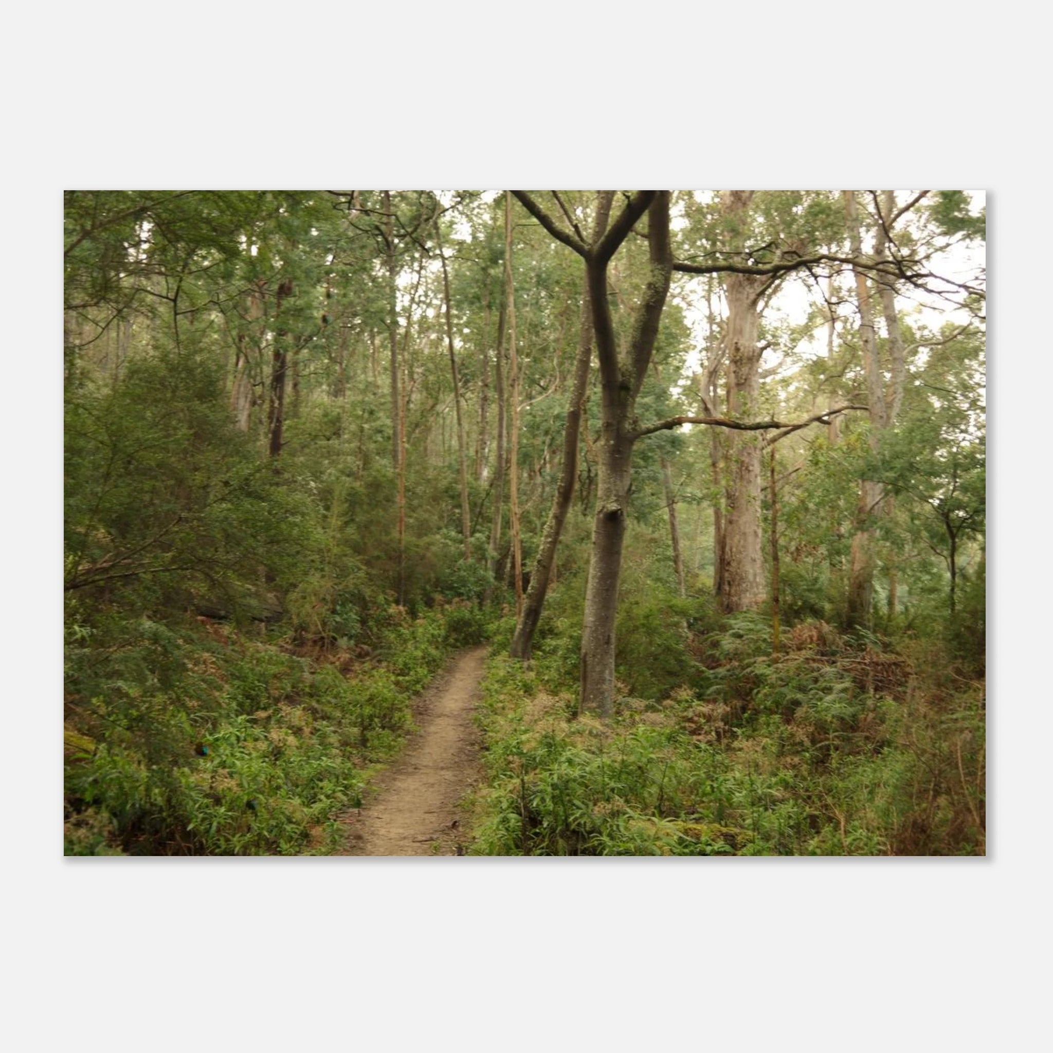 4f65bc2b-f8b6-4e99-b043-6b0a44fec89b